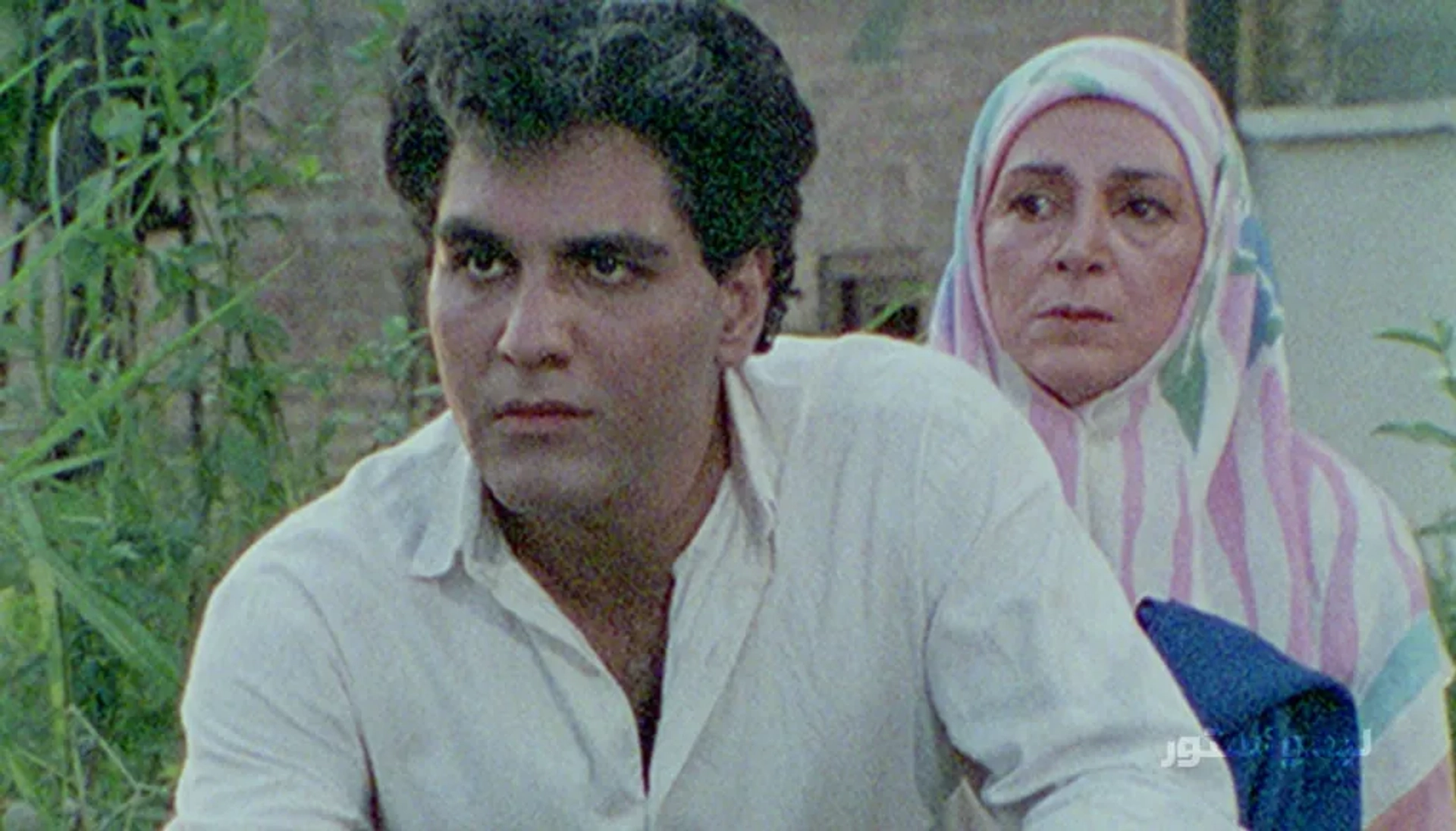 سریال باغ گیلاس 1372