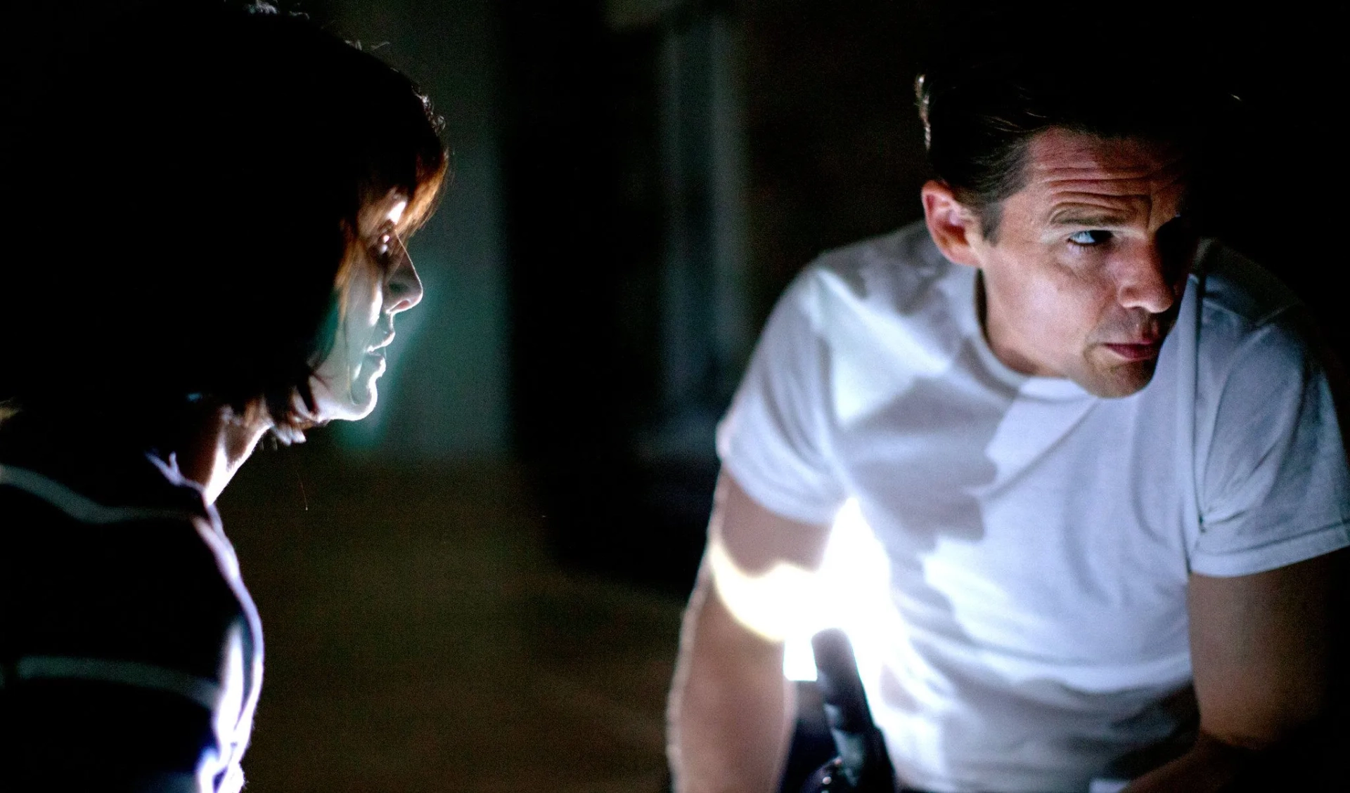 دانلود فیلم پاکسازی (The Purge 2013)