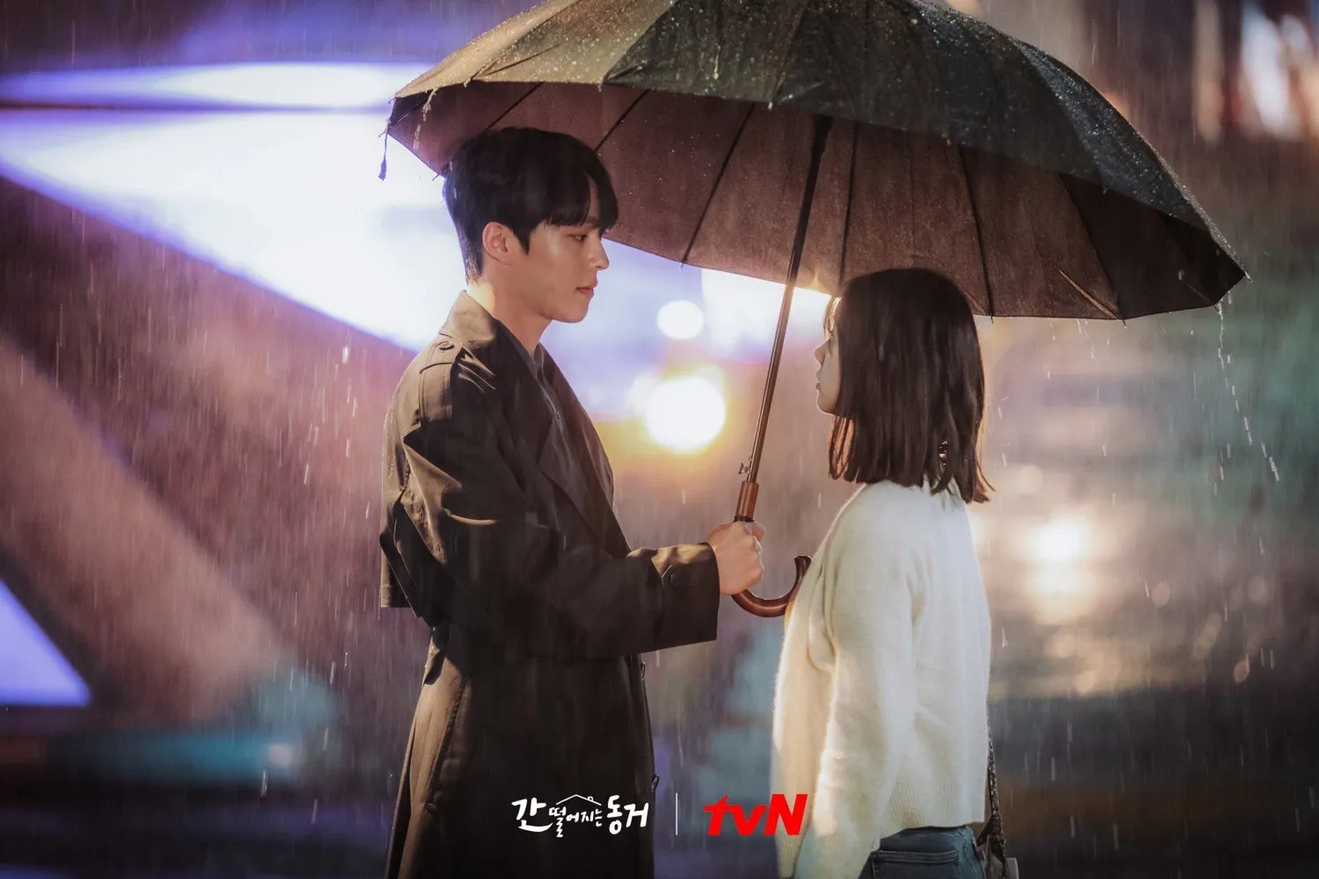 دانلود سریال هم اتاقی من یک گومیهو است (My Roommate Is a Gumiho 2021)