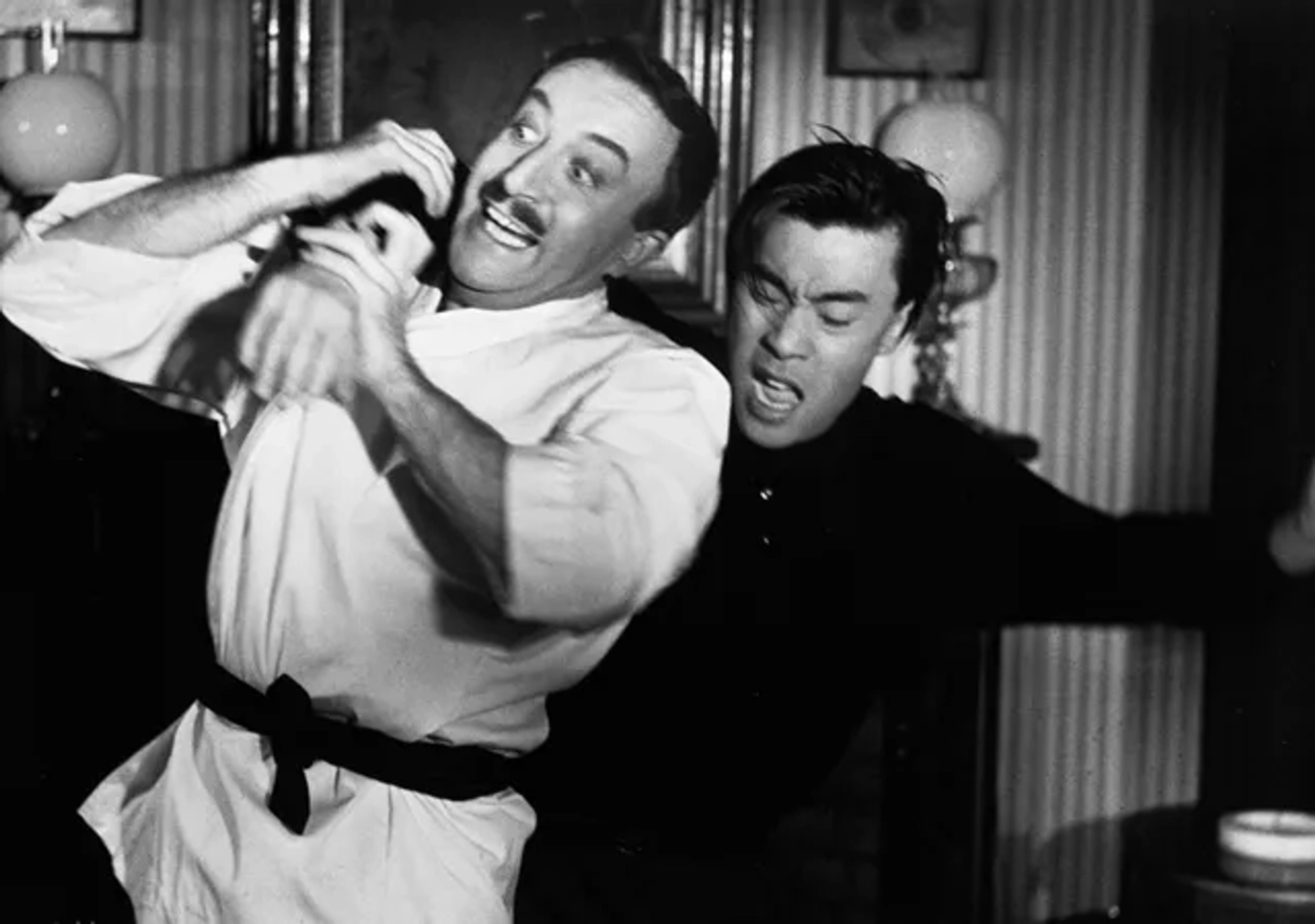 دانلود فیلم تیری در تاریکی (A Shot in the Dark 1964)