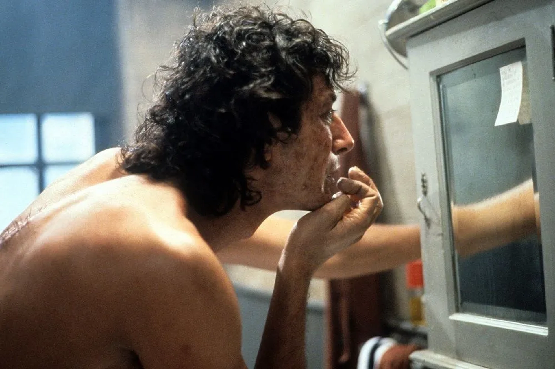 دانلود فیلم مگس (The Fly 1986)