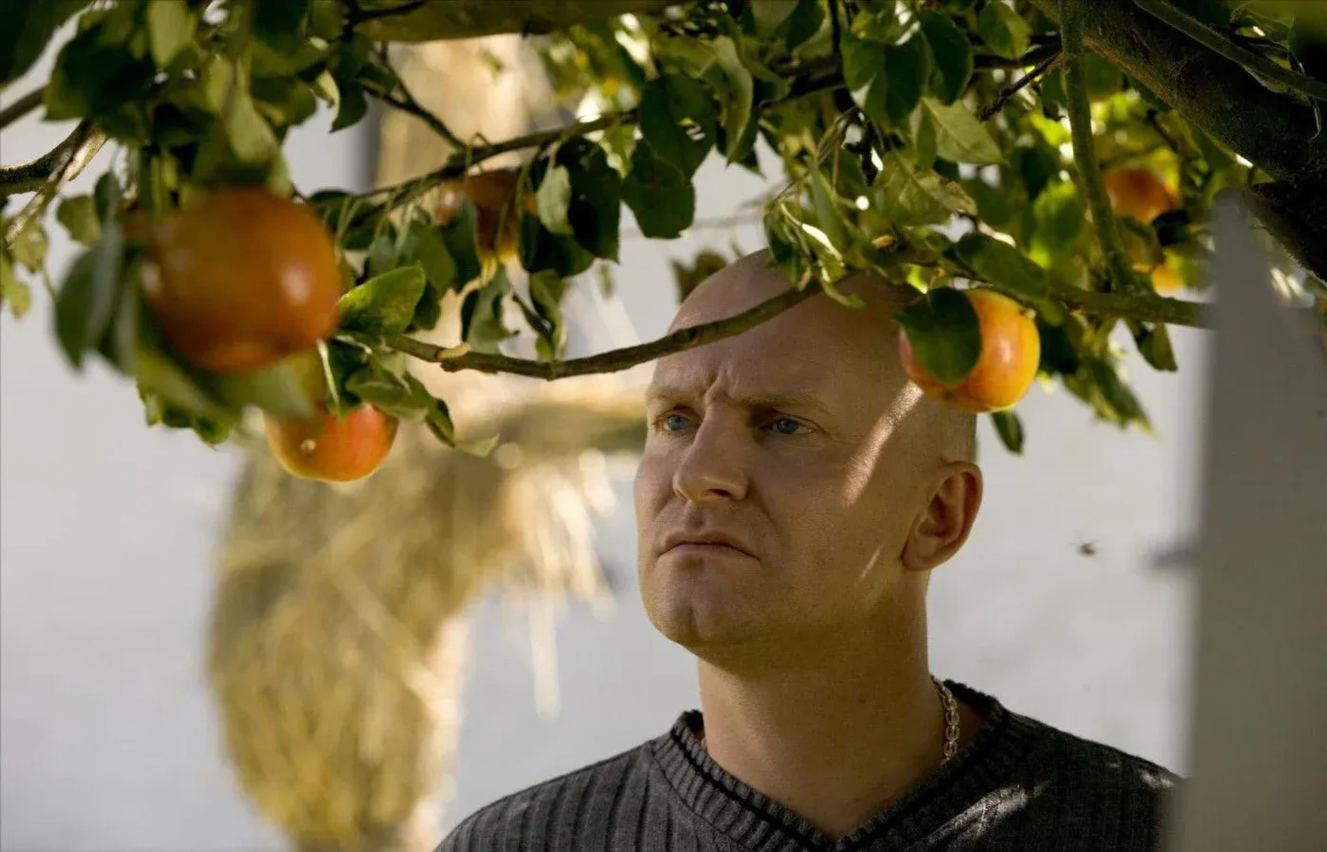 دانلود فیلم سیب های آدم (Adam's Apples 2005)