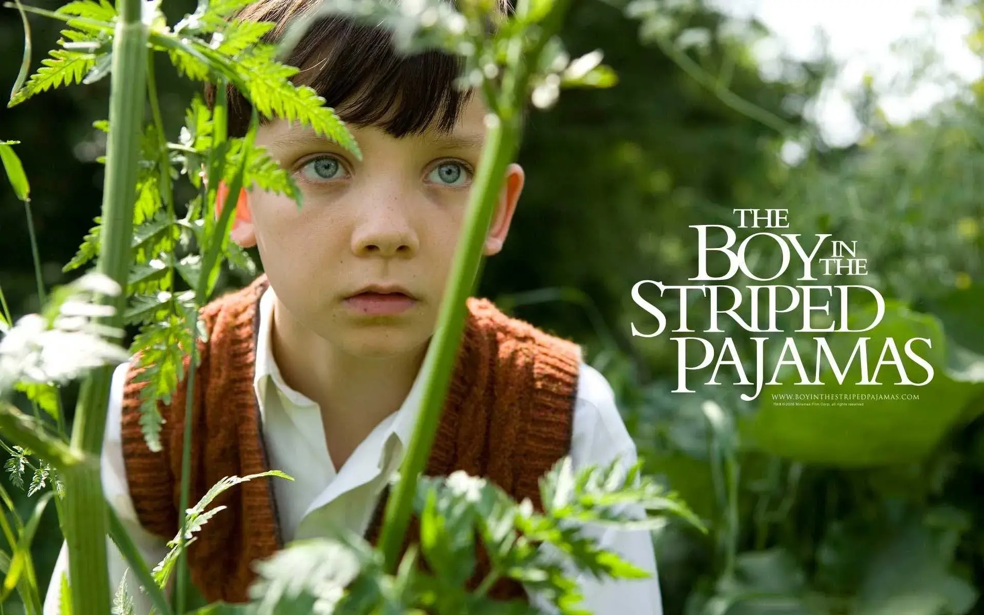 دانلود پسری در پیژامه راه راه (The Boy in the Striped Pajamas 2008)