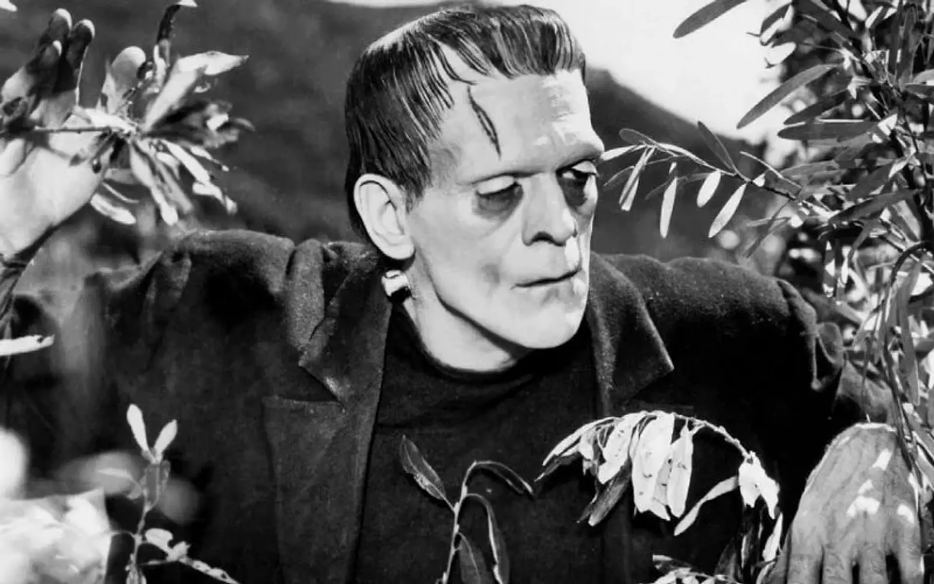 دانلود فیلم فرانکنشتاین (Frankenstein 1931)