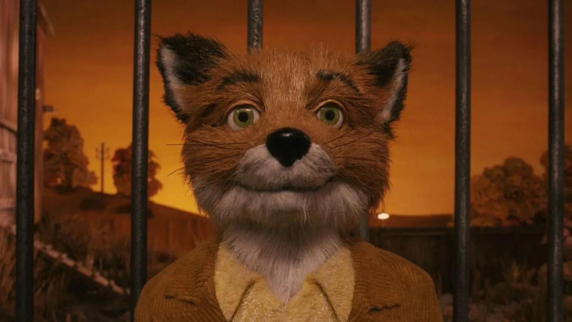 دانلود انیمیشن آقای فاکس شگفت انگیز (Fantastic Mr. Fox 2009)