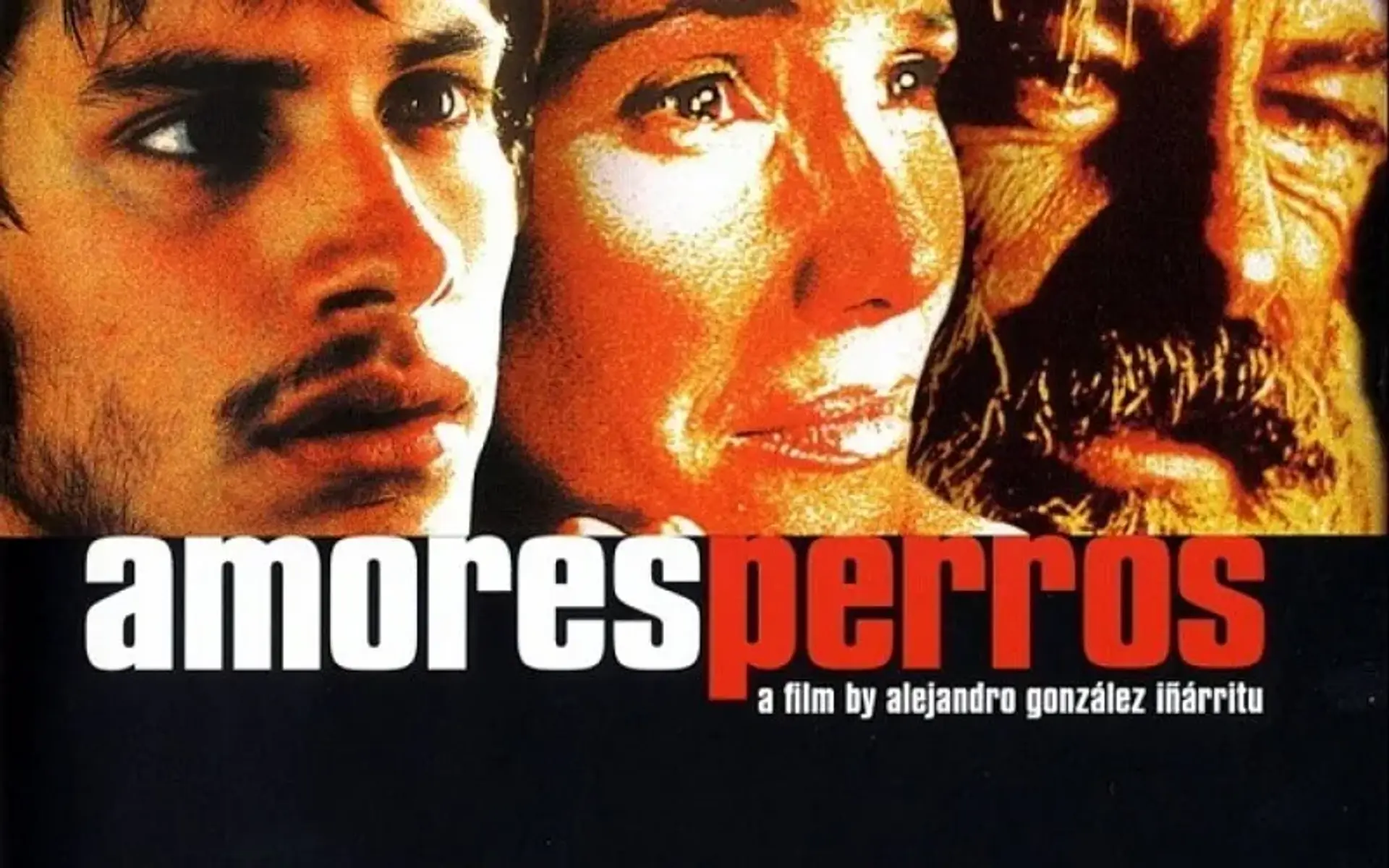 دانلود فیلم عشق سگی (Amores Perros 2000)