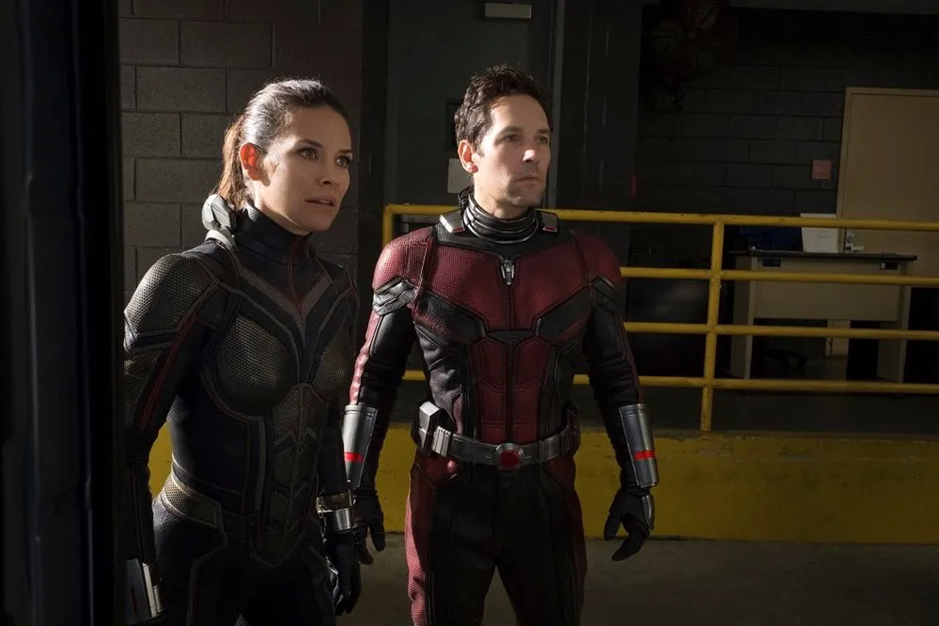 دانلود فیلم مرد مورچه ای و زنبورک (Ant-Man and the Wasp 2018)