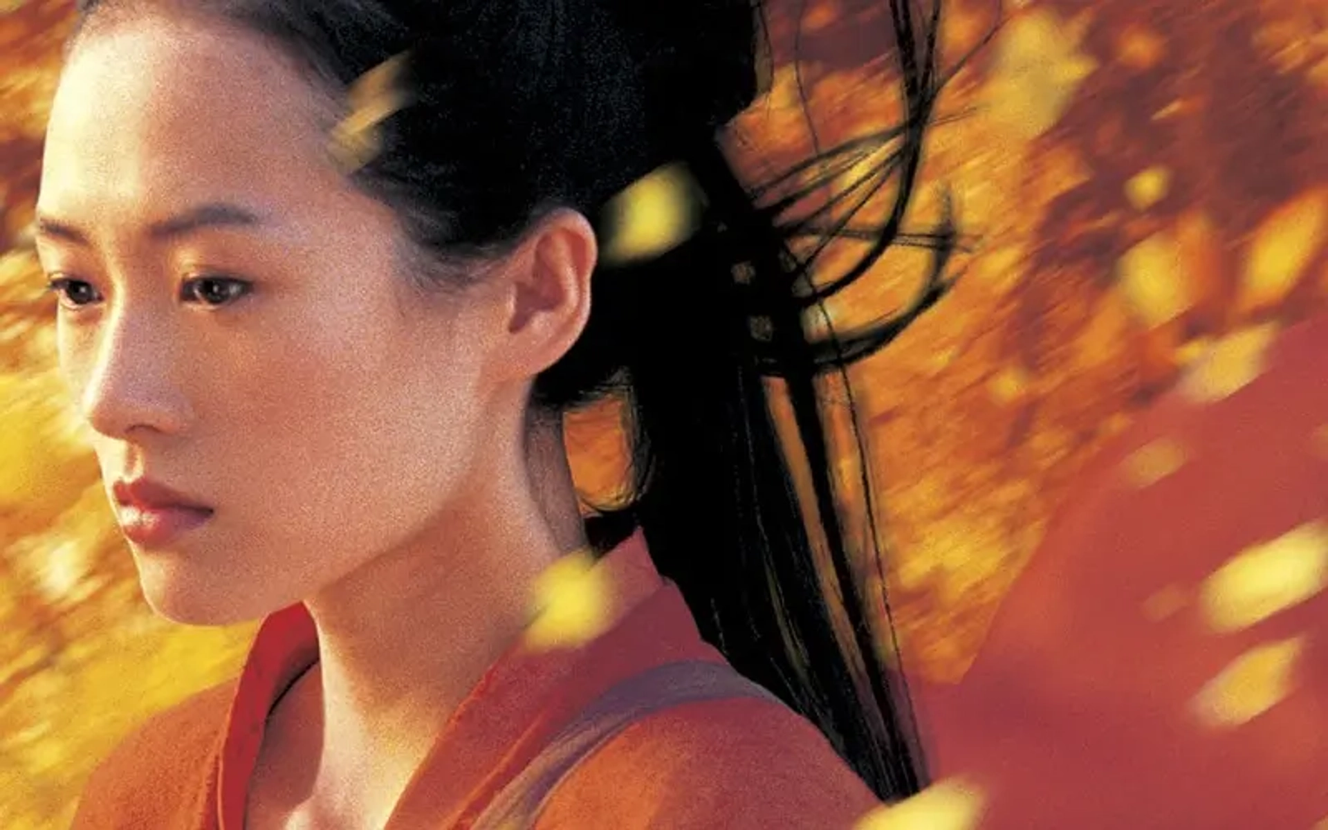 دانلود فیلم قهرمان (Hero 2002)