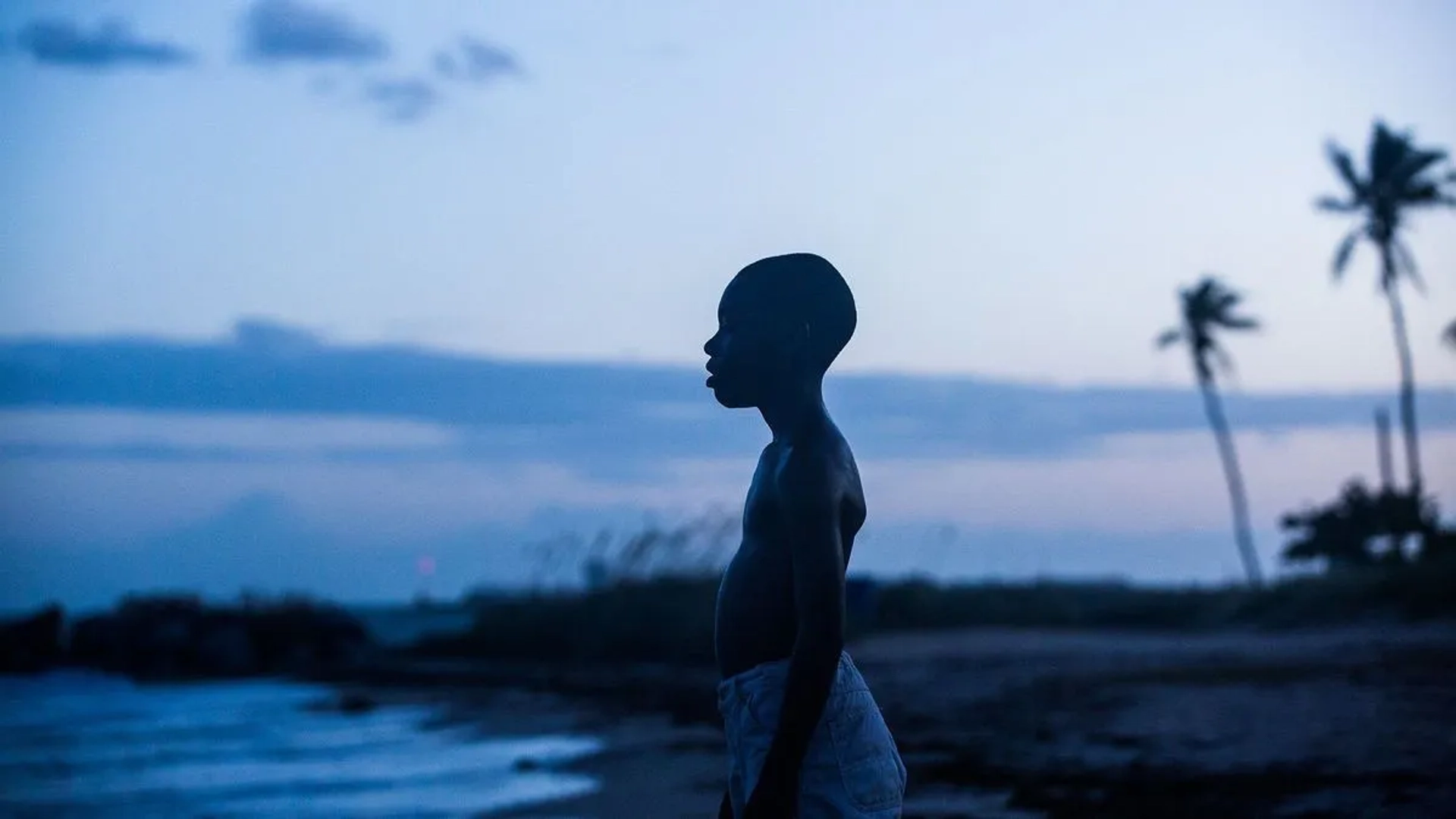 دانلود فیلم مهتاب (Moonlight 2016)
