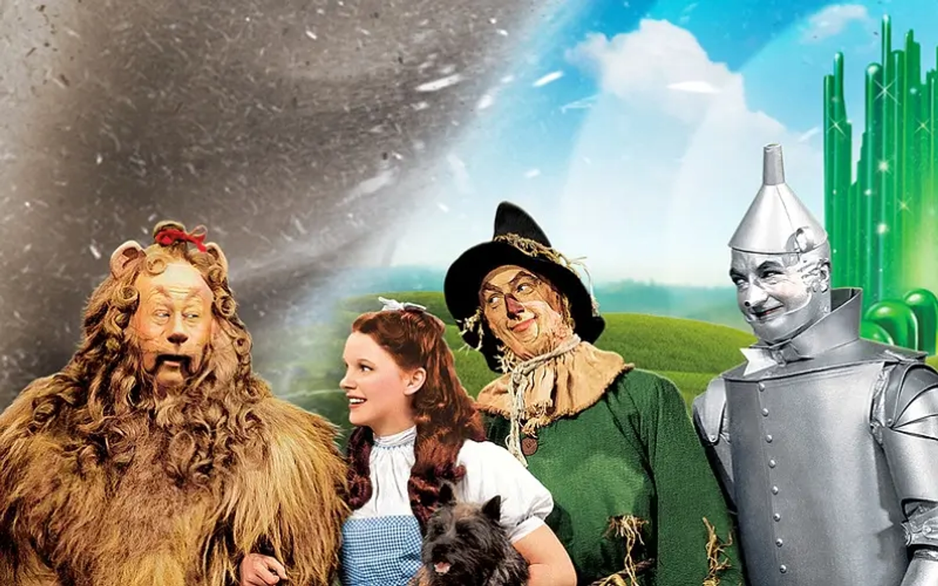 جادوگر شهر از