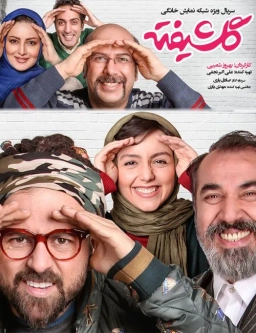 گلشیفته