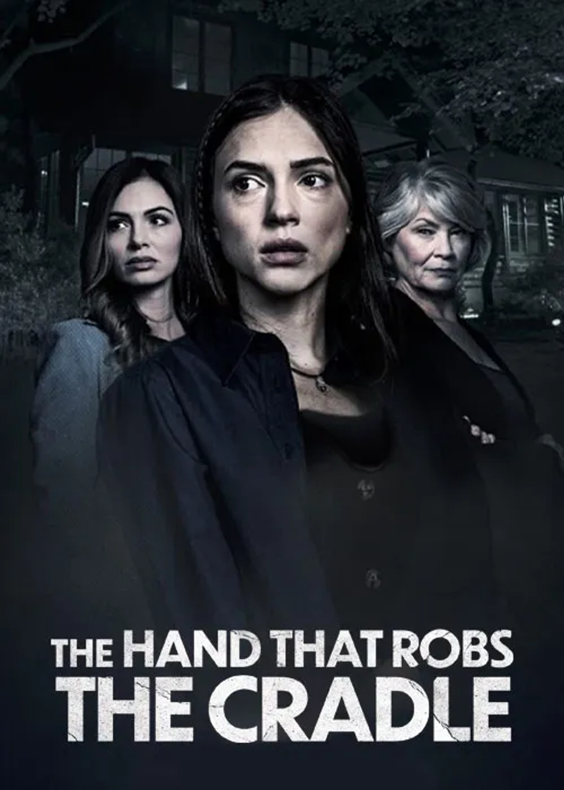 فیلم کودک ربا (The Hand That Robs the Cradle 2023)