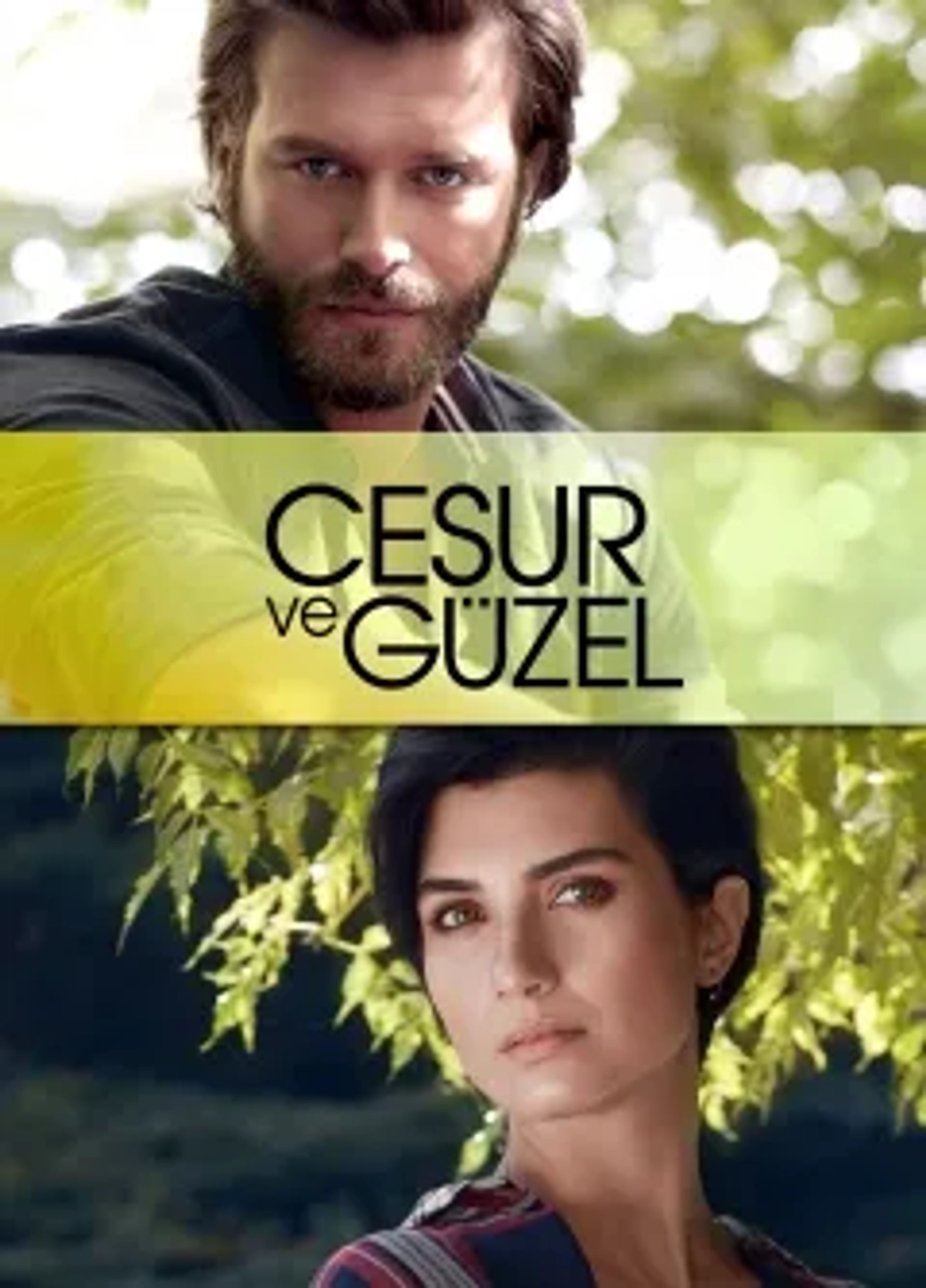 دانلود سریال جسور و خوشگل (Cesur ve Güzel 2016)