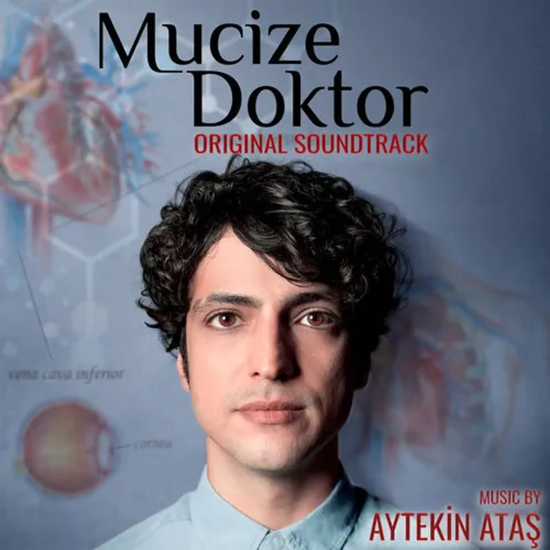 دانلود سریال دکتر معجزه گر (Mucize Doktor 2019)