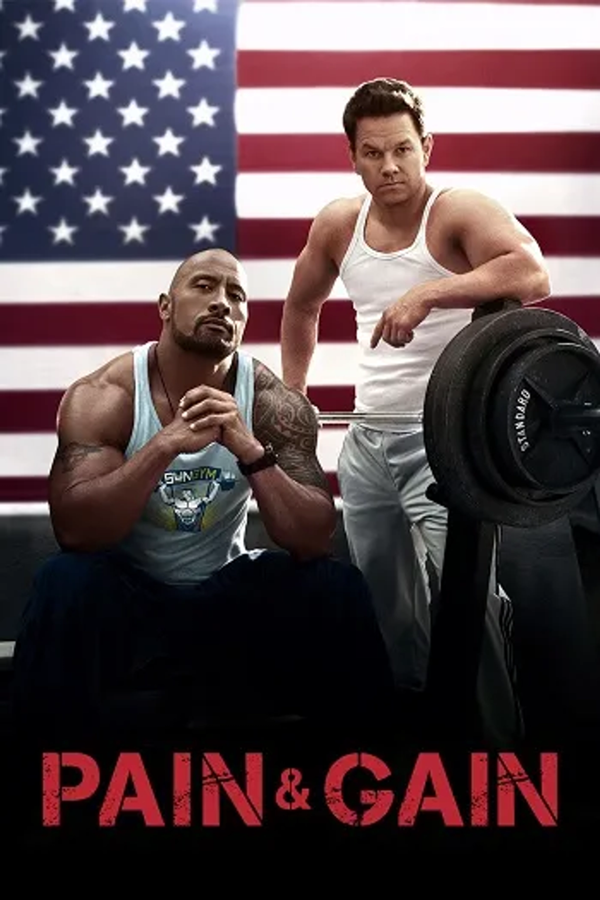 دانلود فیلم رنج و گنج (Pain & Gain 2013)