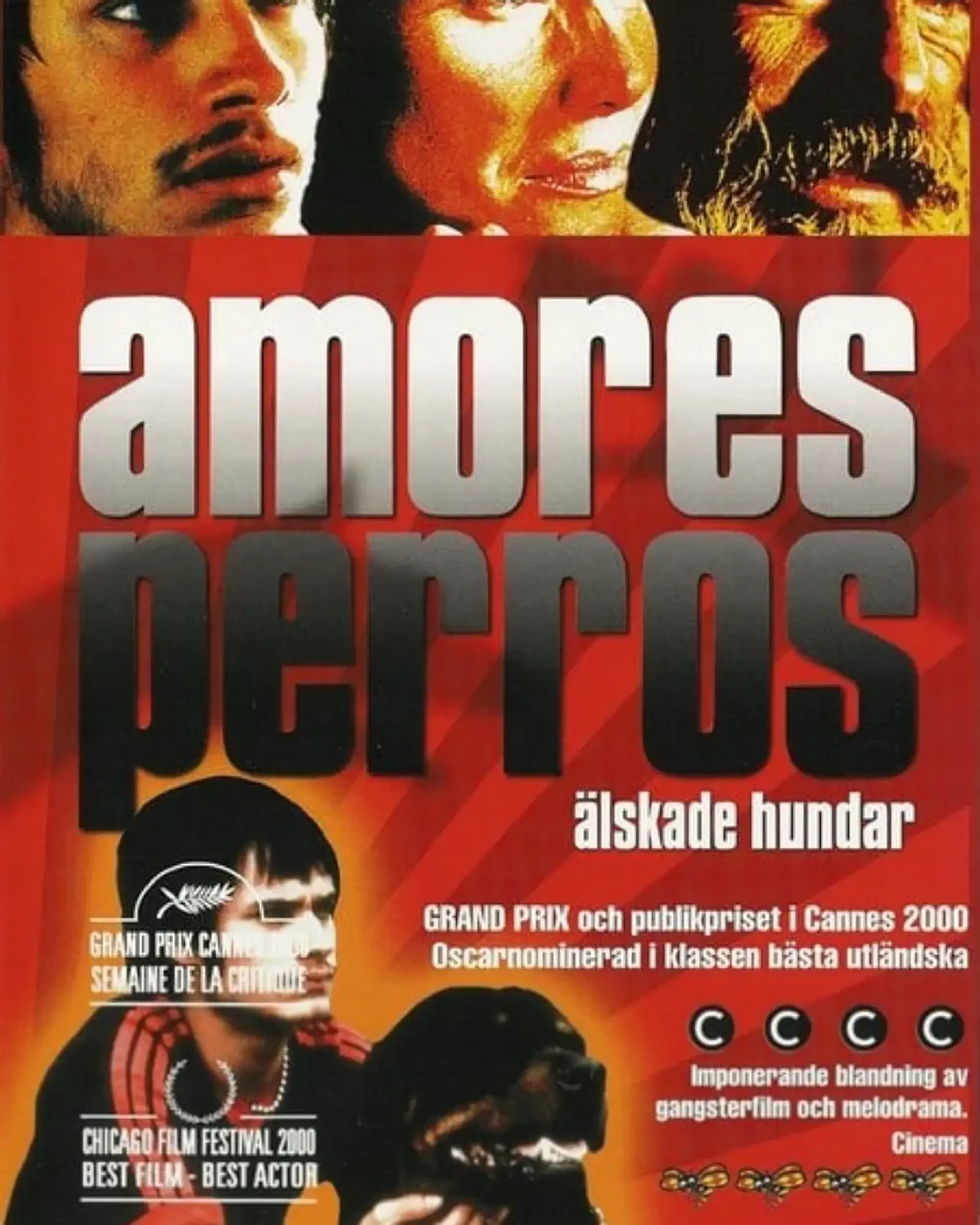 دانلود فیلم عشق سگی (Amores Perros 2000)