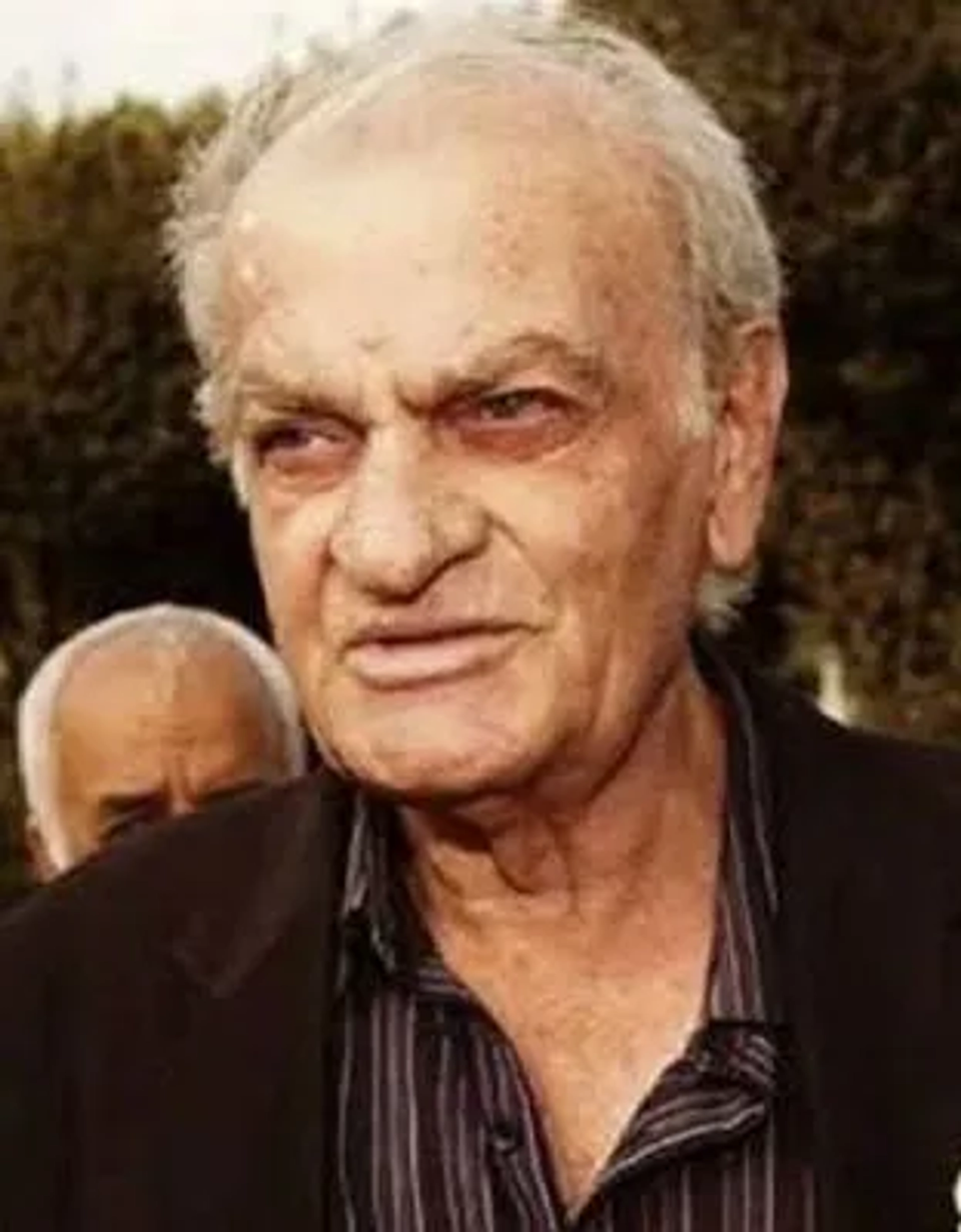فتحعلی  اویسی