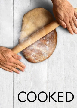 پختن