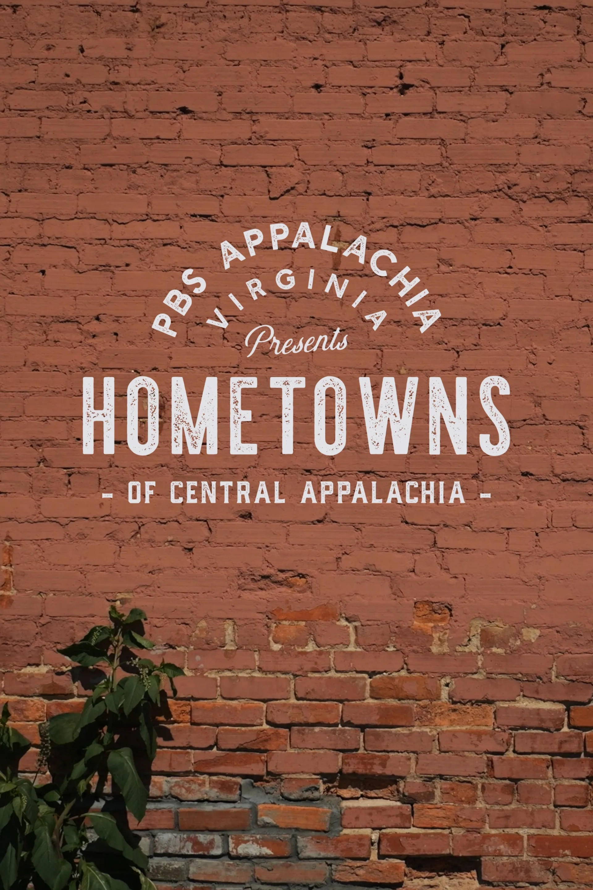 سریال زادگاه ها