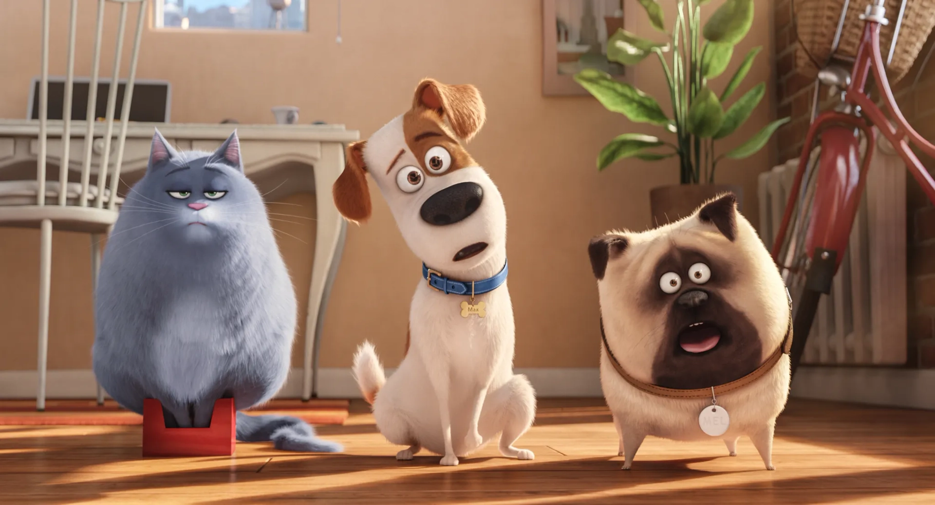 Louis C.K., Lake Bell, and Bobby Moynihan in The Secret Life of Pets (2016)