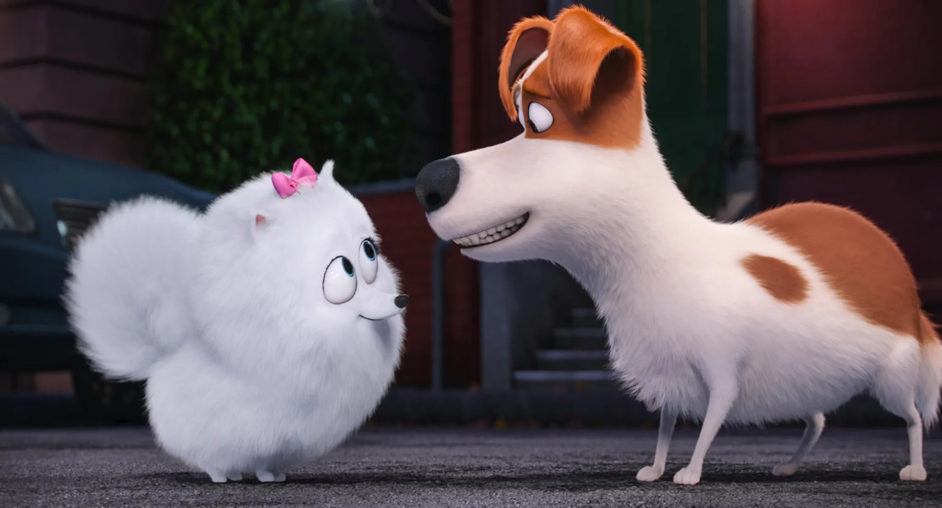 Louis C.K. and Jenny Slate in The Secret Life of Pets (2016)