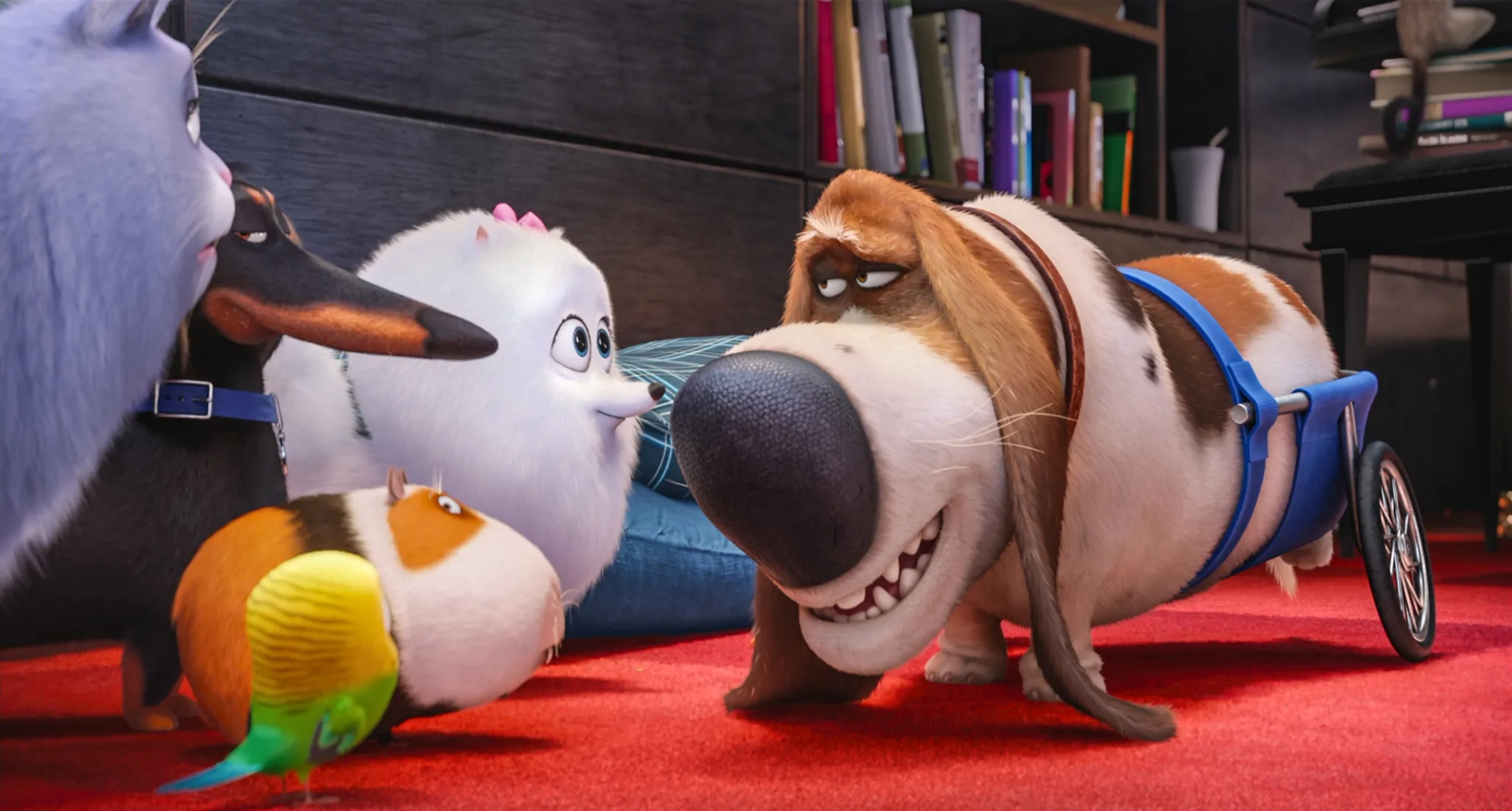 Dana Carvey, Tara Strong, Chris Renaud, Lake Bell, Jenny Slate, and Hannibal Buress in The Secret Life of Pets (2016)