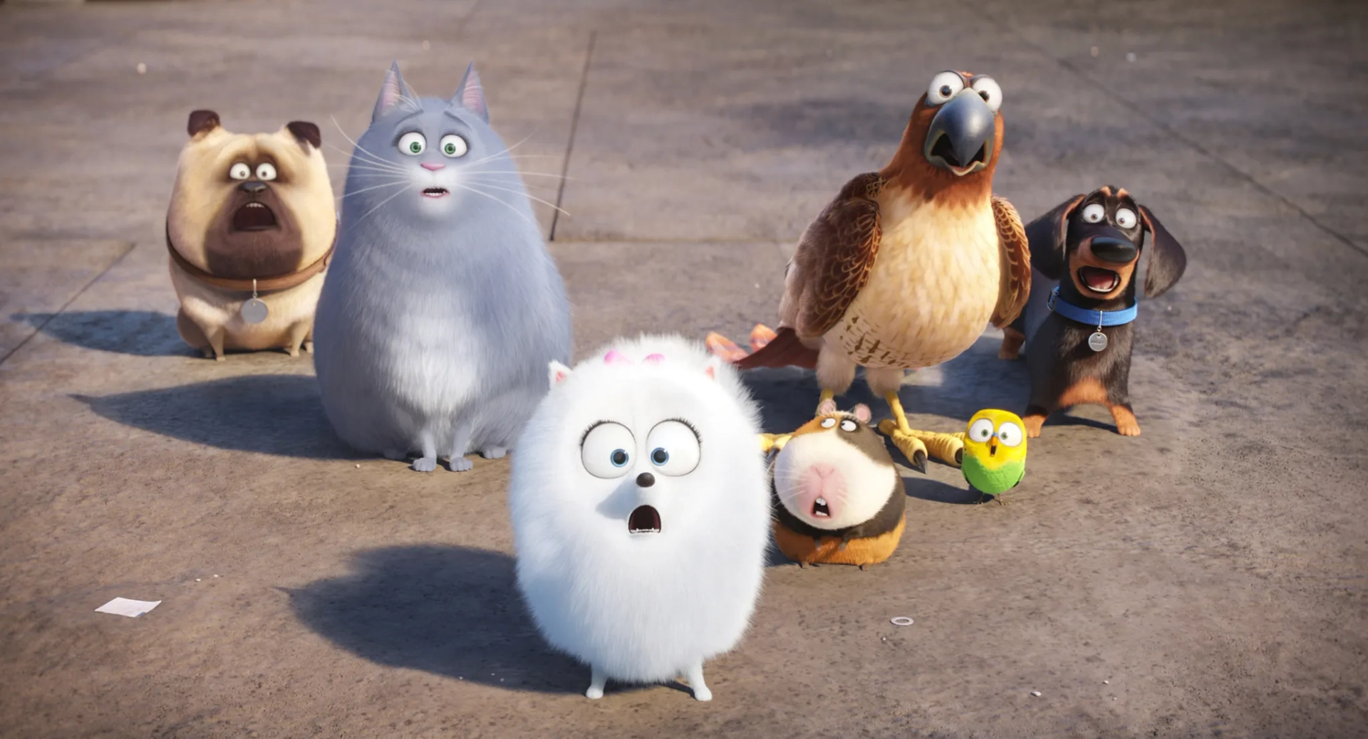 Albert Brooks, Tara Strong, Chris Renaud, Lake Bell, Bobby Moynihan, Jenny Slate, and Hannibal Buress in The Secret Life of Pets (2016)