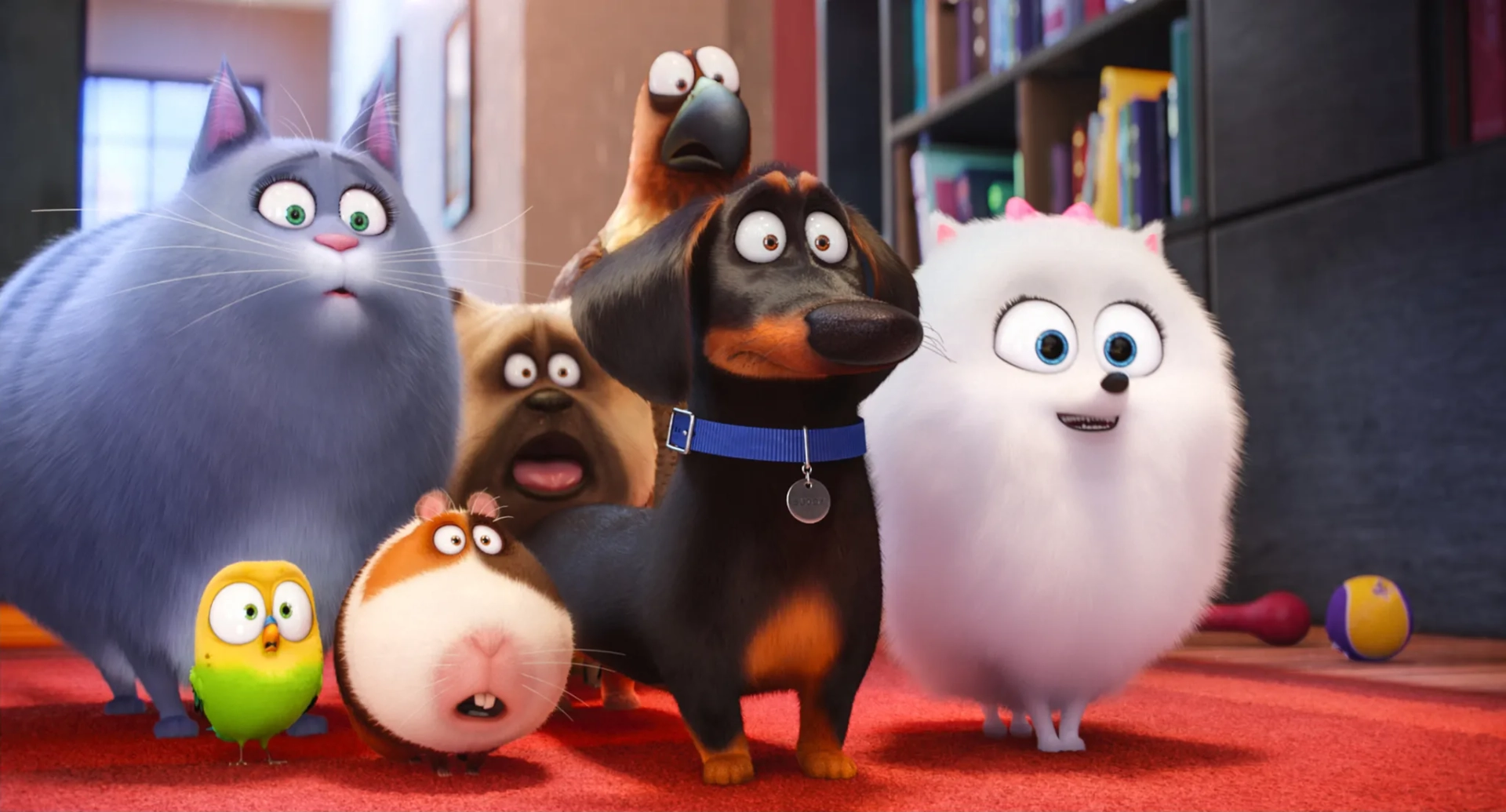 Albert Brooks, Tara Strong, Chris Renaud, Lake Bell, Bobby Moynihan, Jenny Slate, and Hannibal Buress in The Secret Life of Pets (2016)