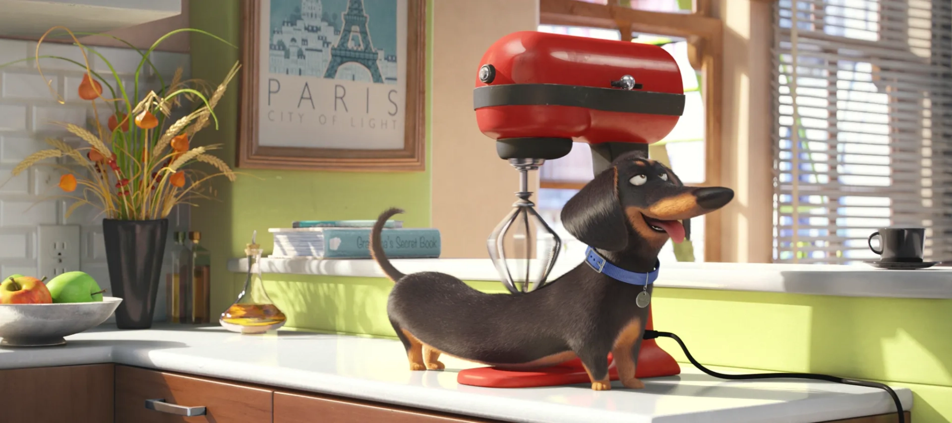 Hannibal Buress in The Secret Life of Pets (2016)