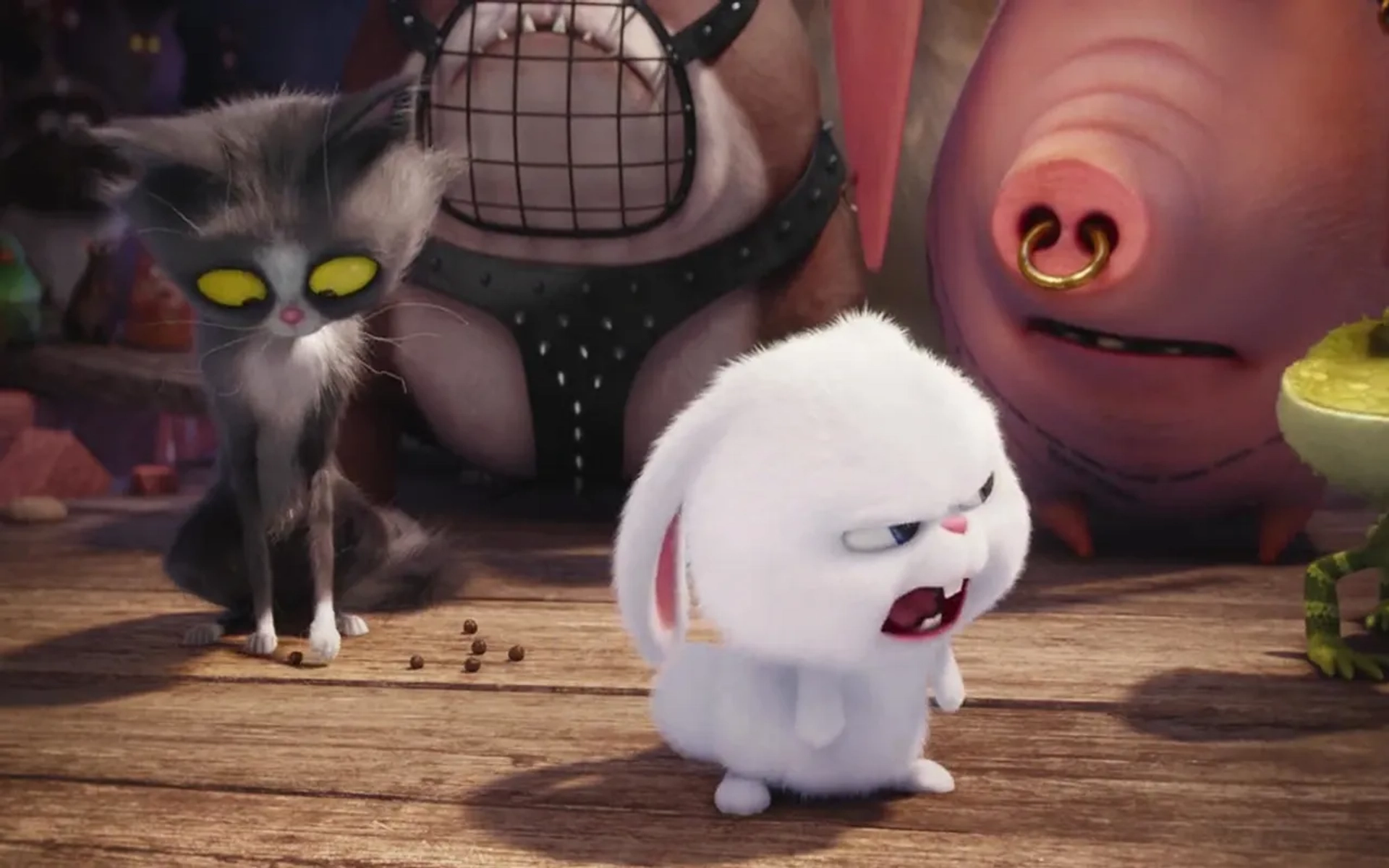 Kevin Hart in The Secret Life of Pets (2016)