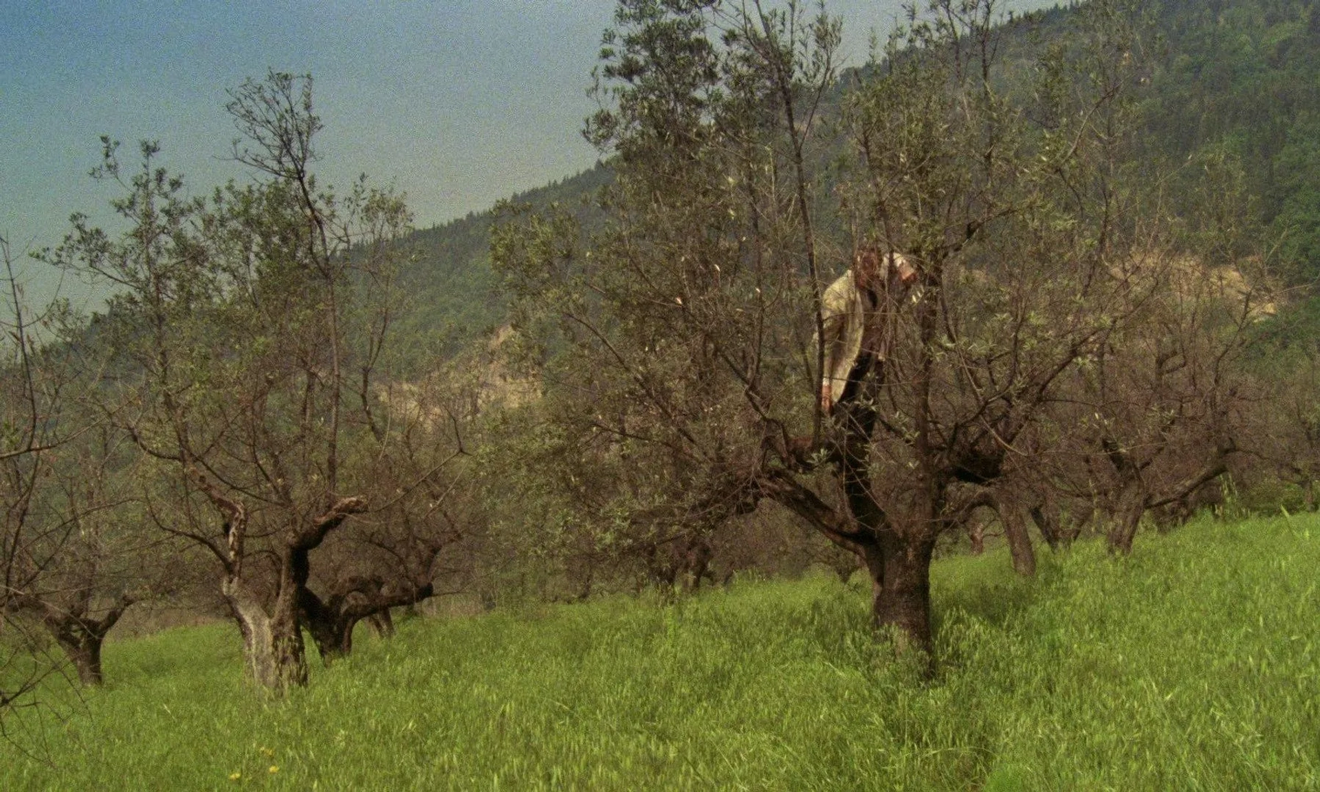 Julian Sands in A Room with a View (1985)