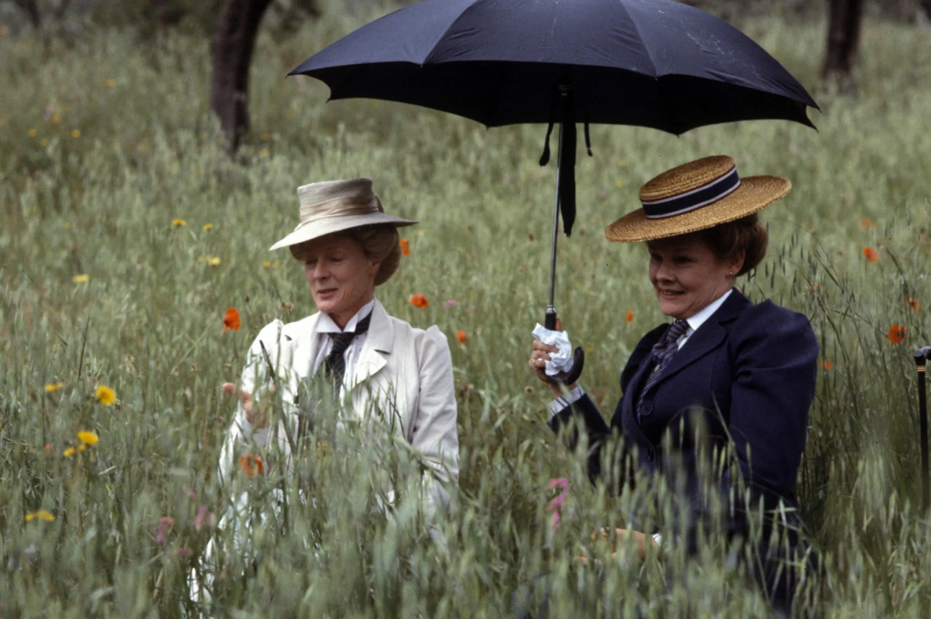 Judi Dench and Maggie Smith in A Room with a View (1985)