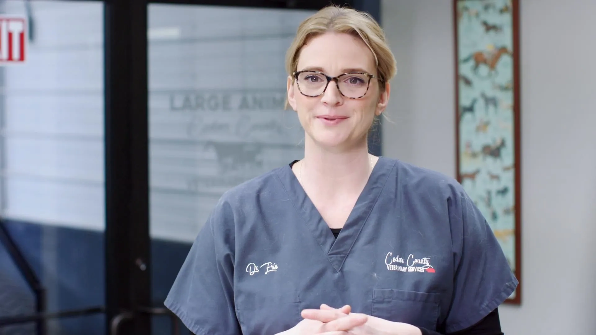 دانلود سریال اسناد هارتلند، دی وی ام (Heartland Docs, DVM 2020)