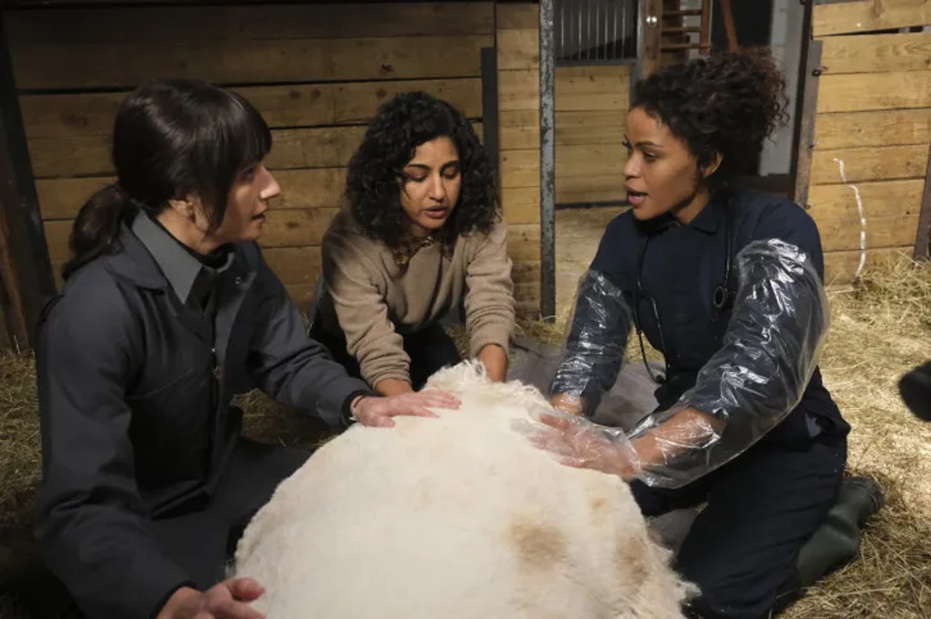 Grace Palmer, Vella Lovell, and Alvina August in Animal Control (2023)