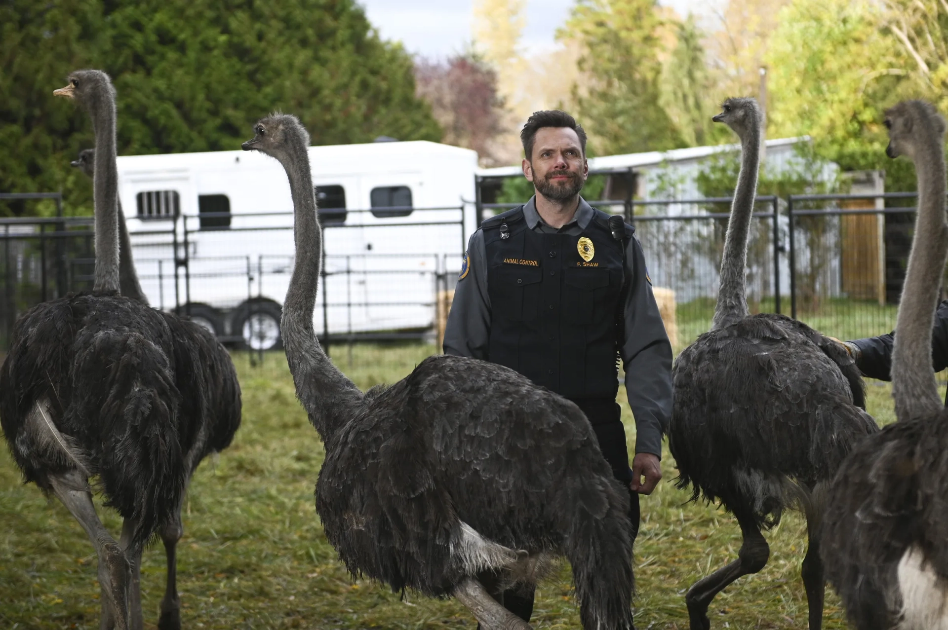 Joel McHale in Animal Control (2023)