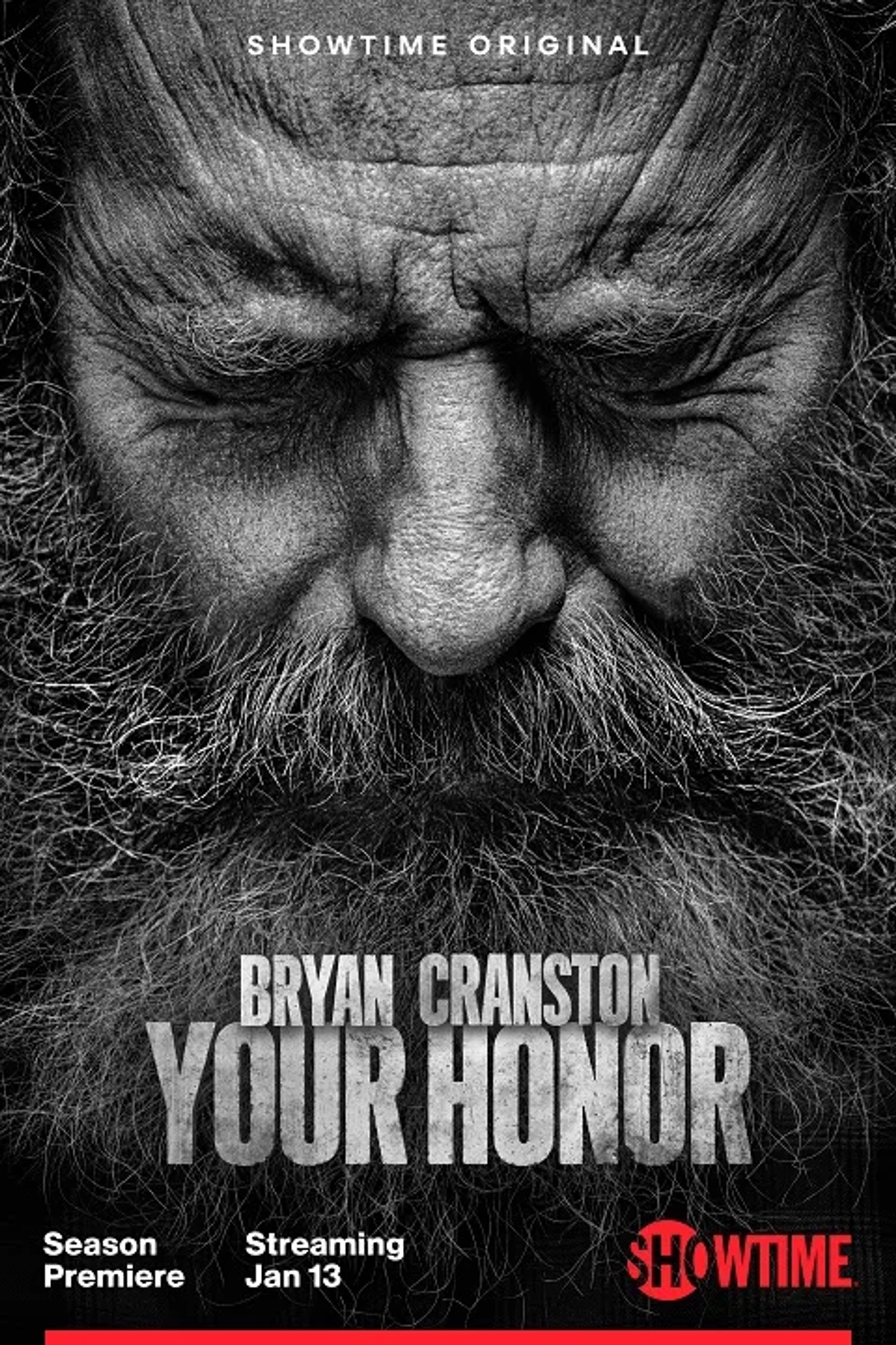 Bryan Cranston in Your Honor (2020)