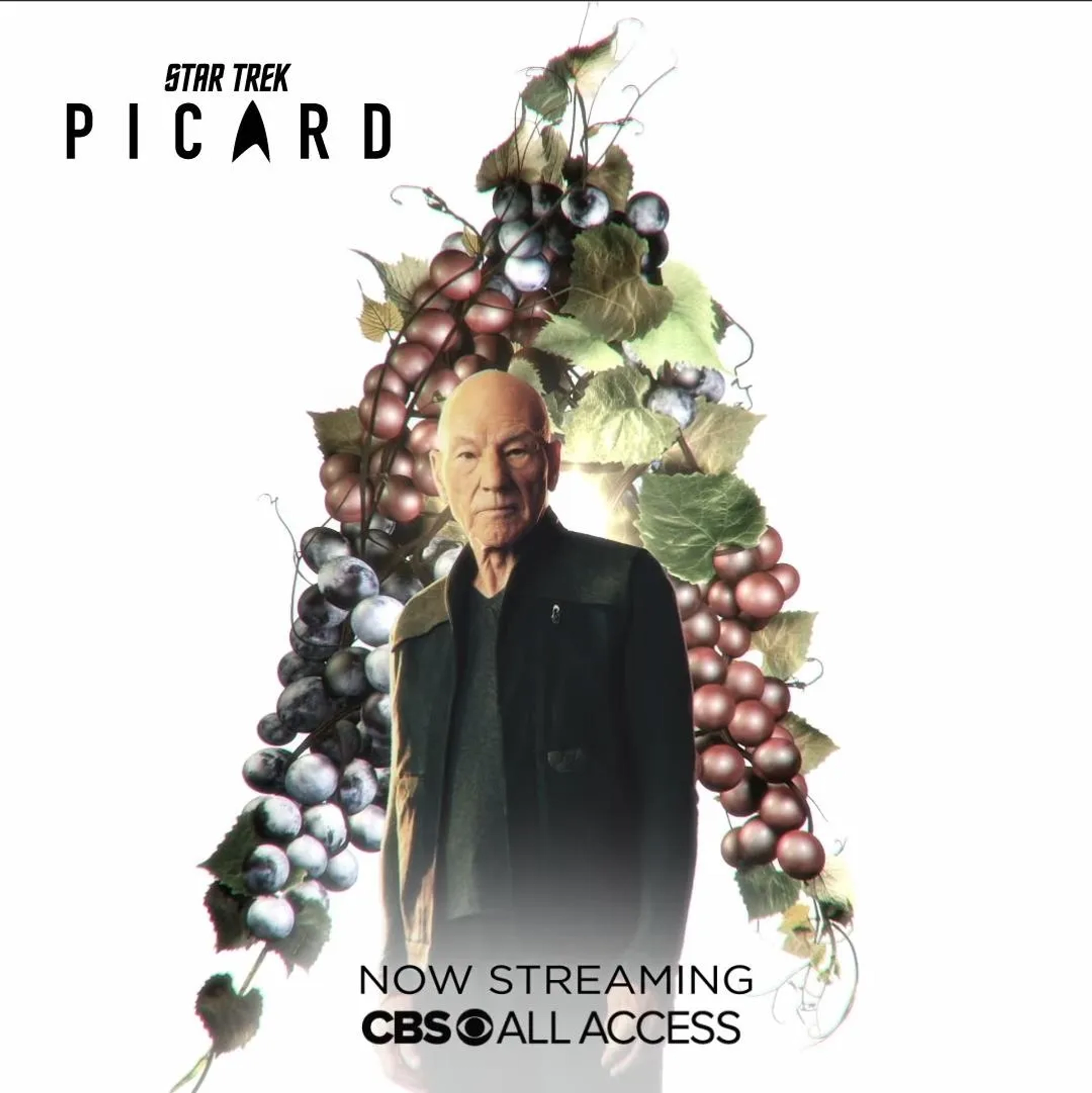 Patrick Stewart in Star Trek: Picard (2020)