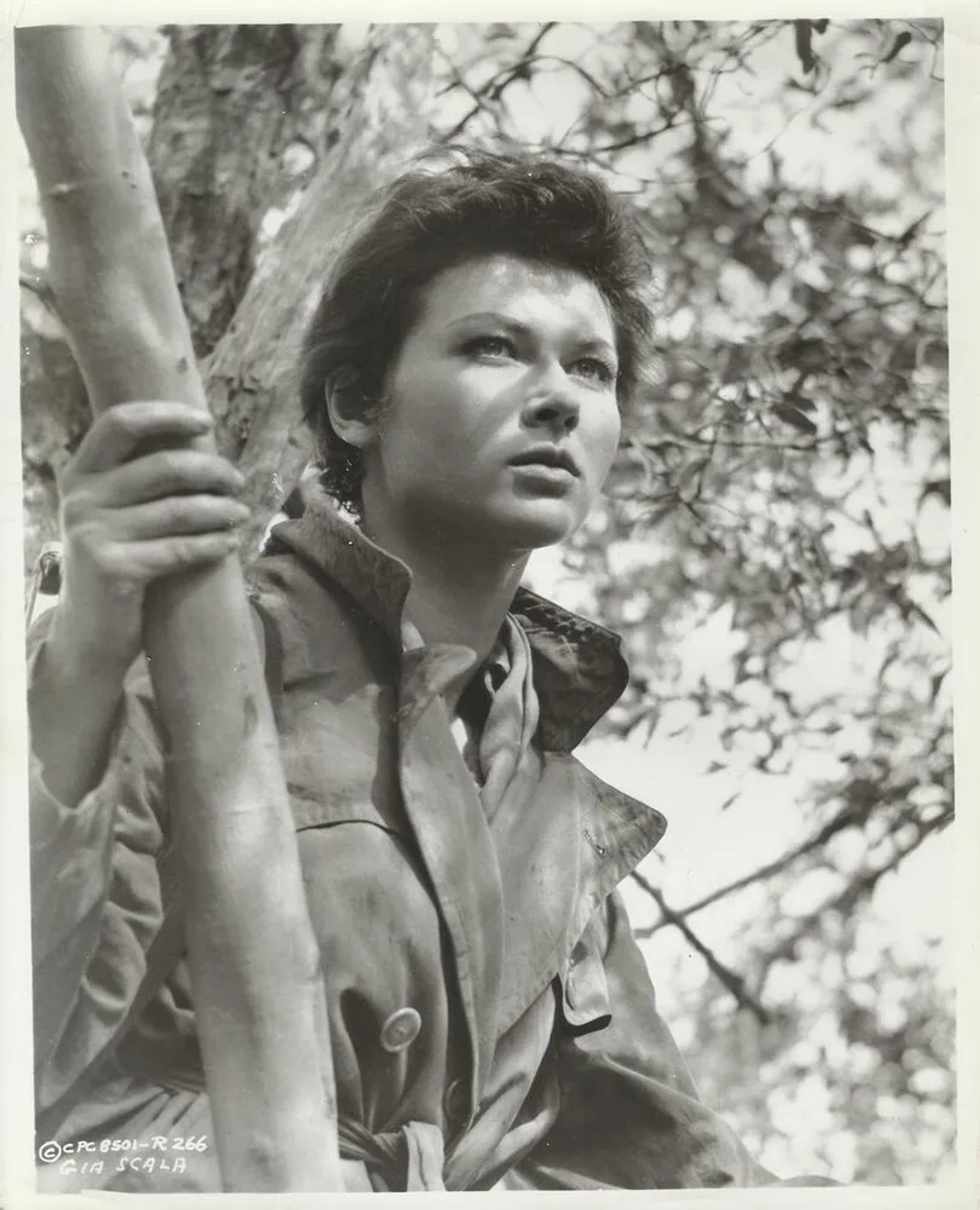 Gia Scala in The Guns of Navarone (1961)