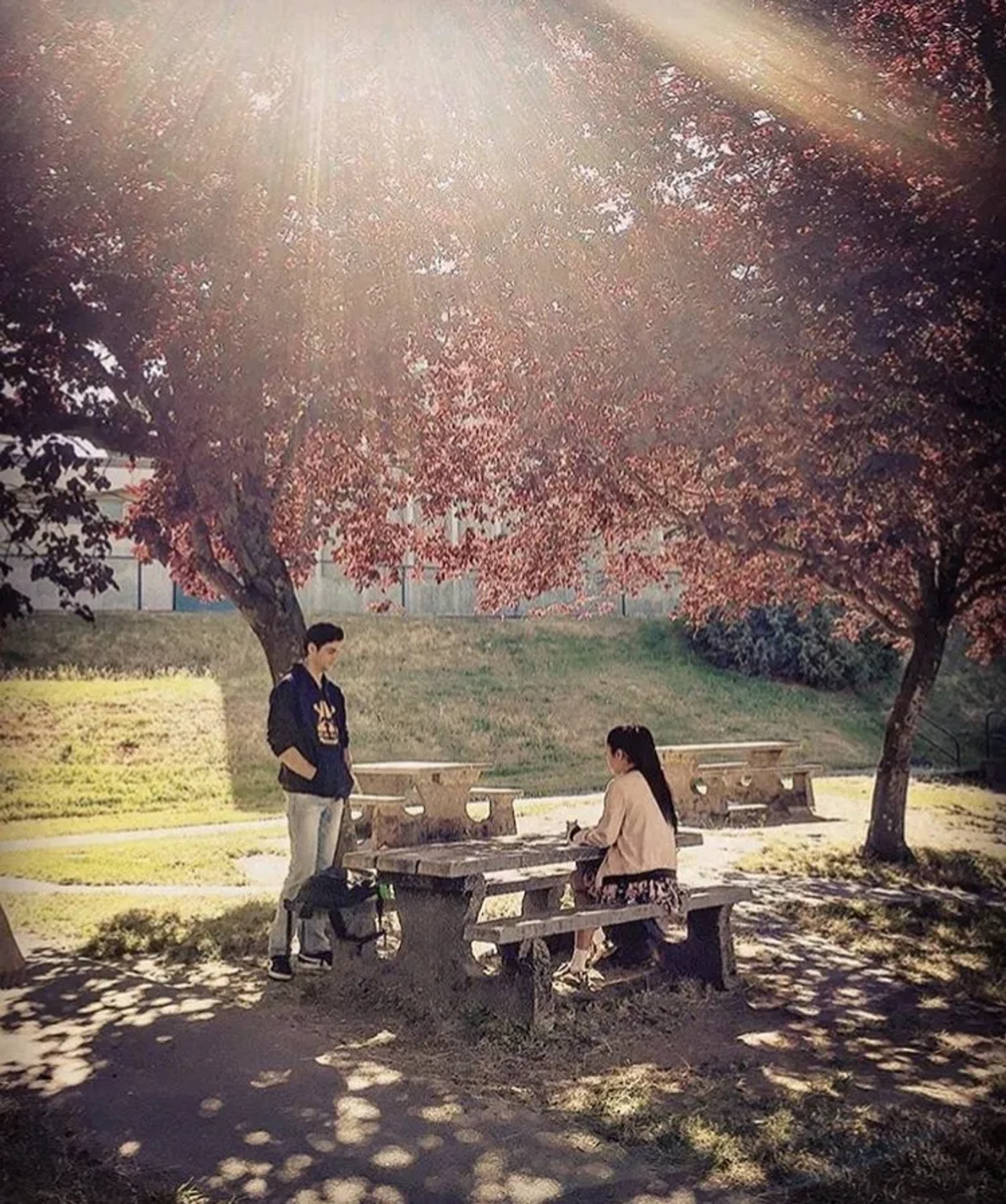 Noah Centineo and Lana Condor in To All the Boys I've Loved Before (2018)