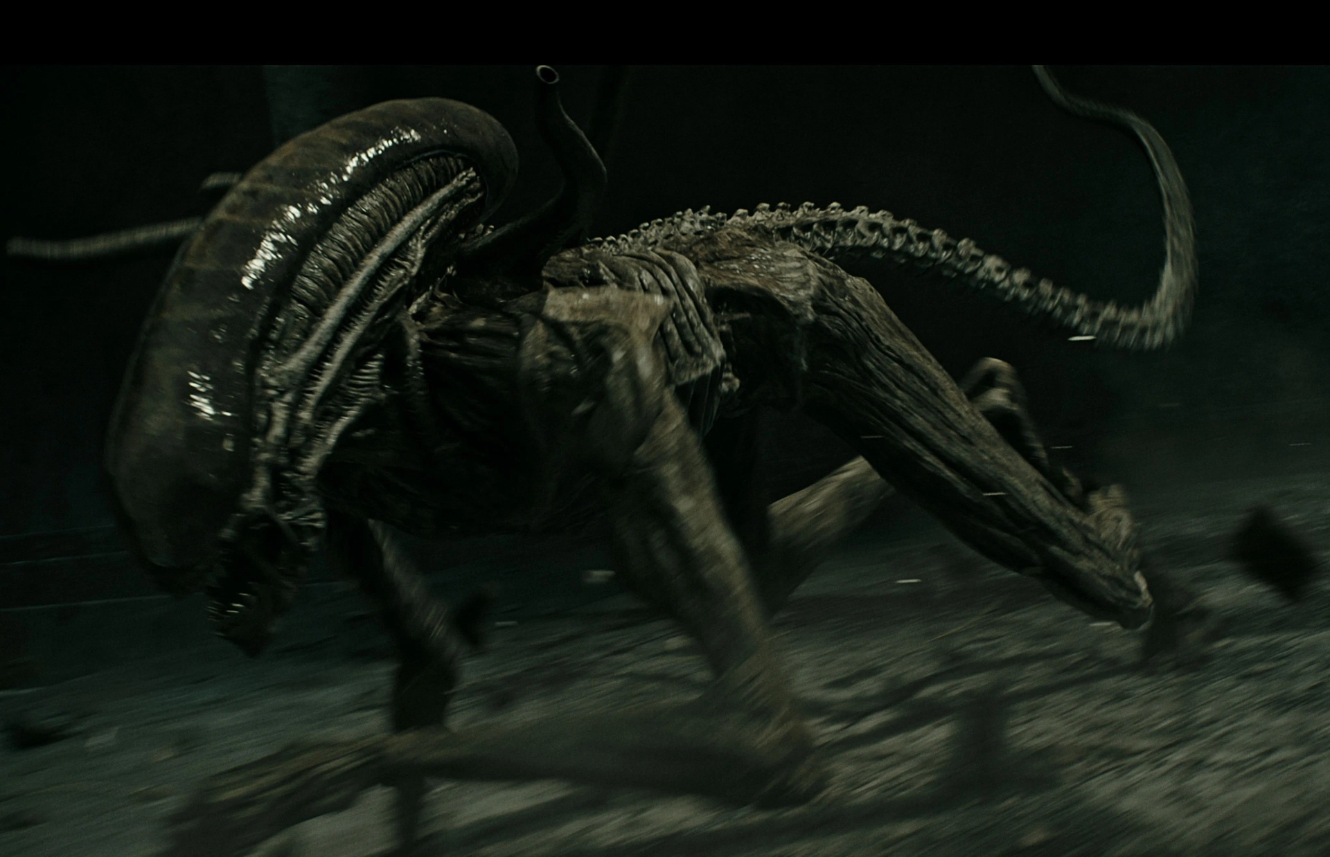 Goran D. Kleut in Alien: Covenant (2017)