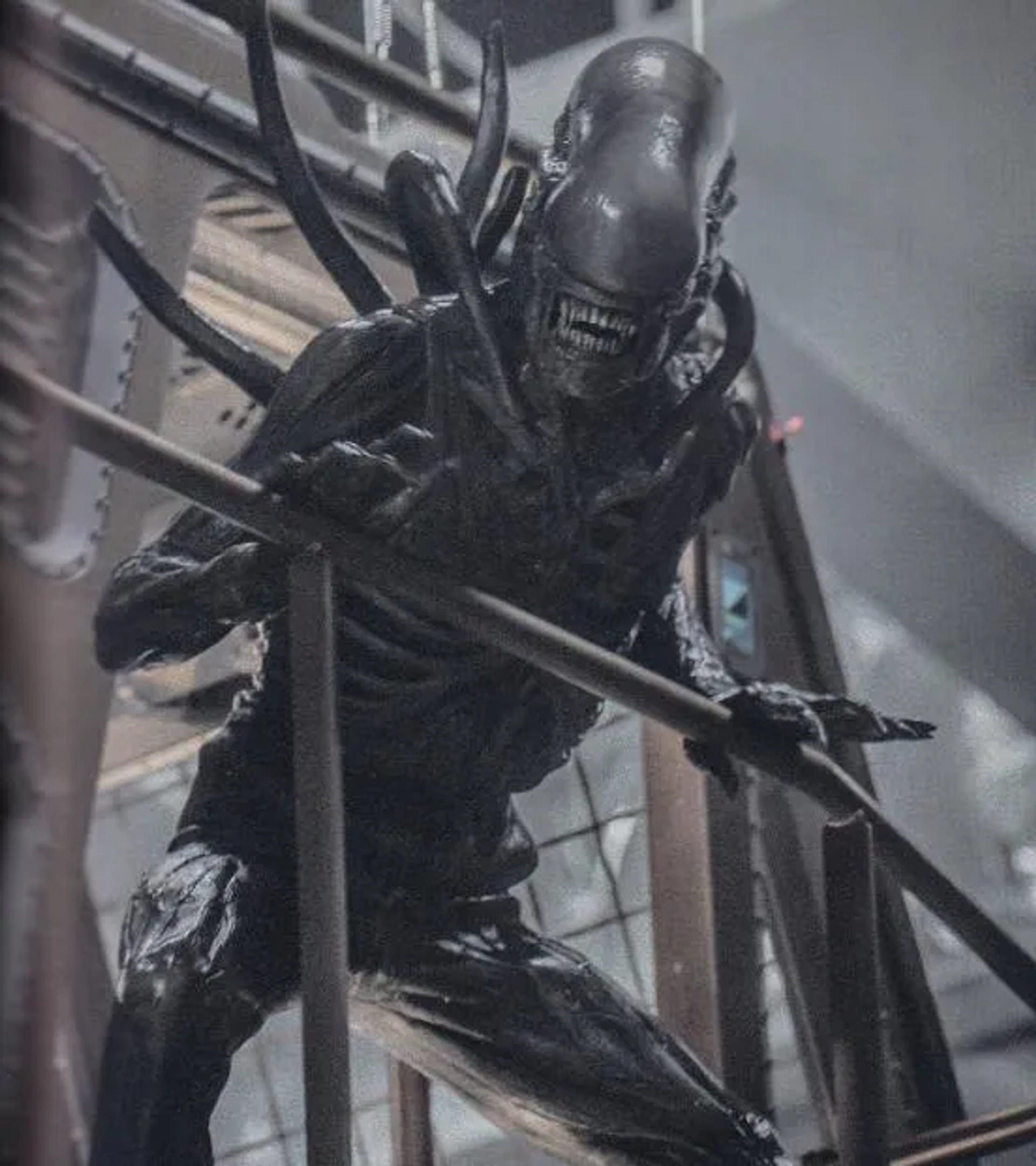 Goran D. Kleut in Alien: Covenant (2017)