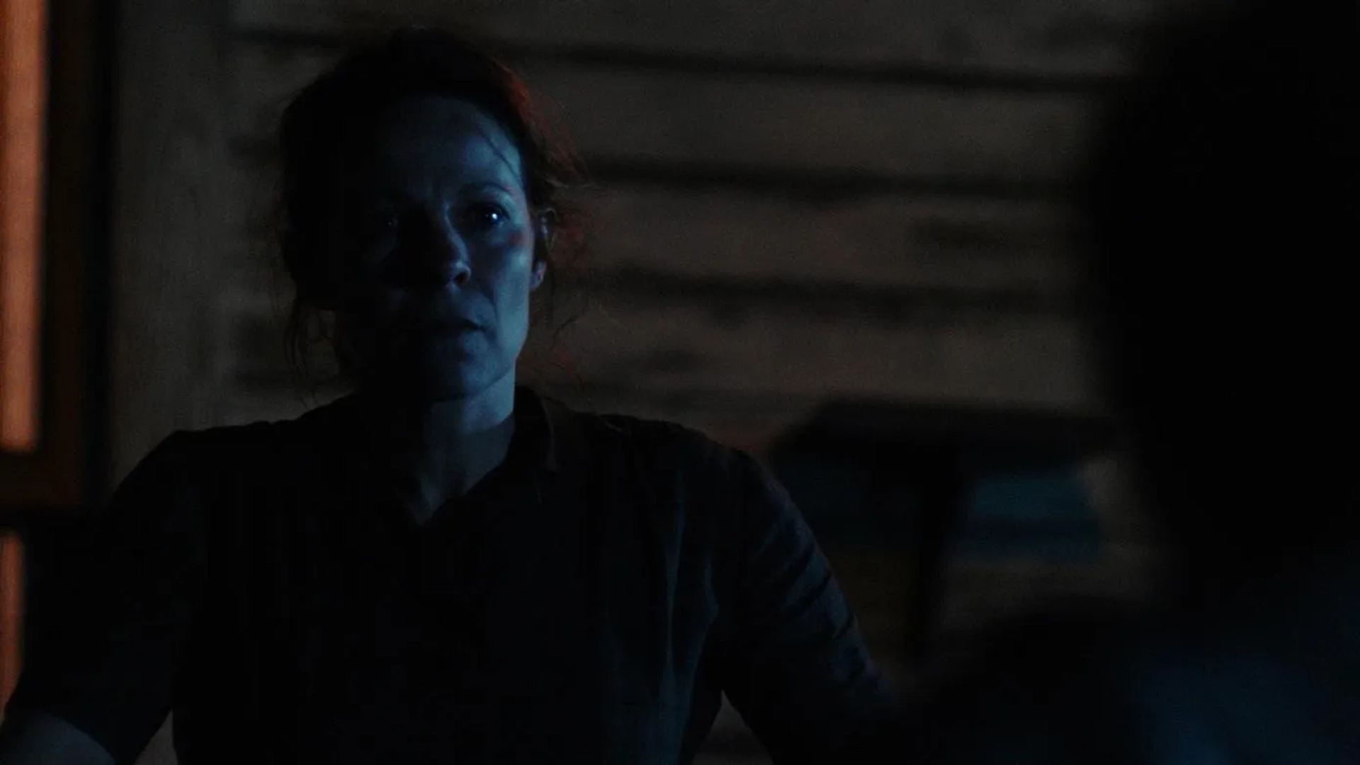 Lili Taylor in Leatherface (2017)