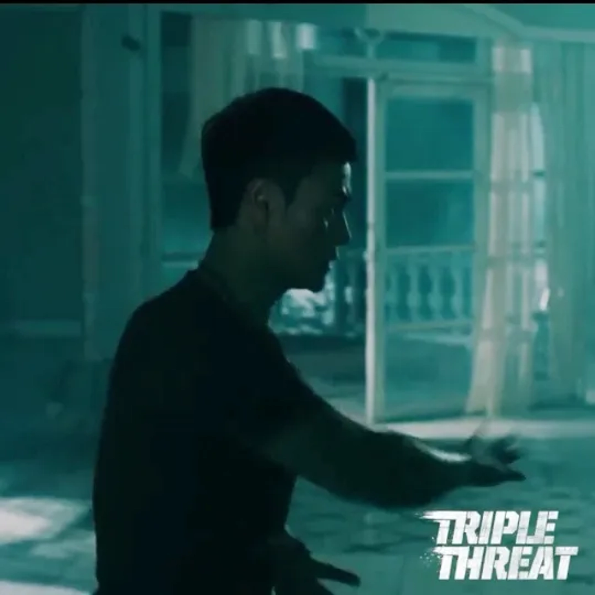 Tiger Hu Chen in Triple Threat (2019)