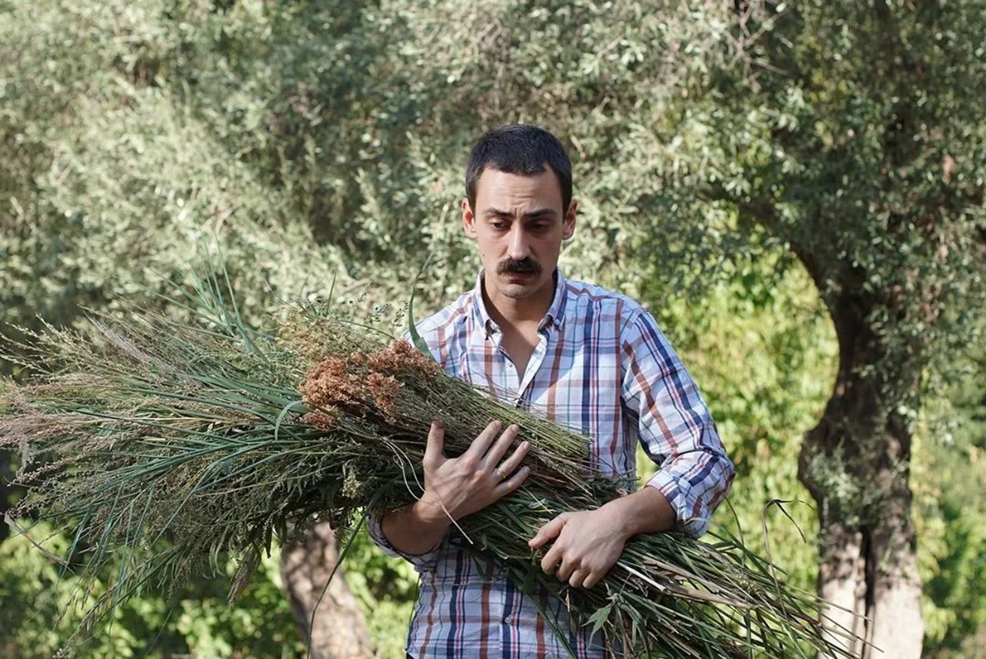 Edip Tepeli in The Ambassador's Daughter (2019)