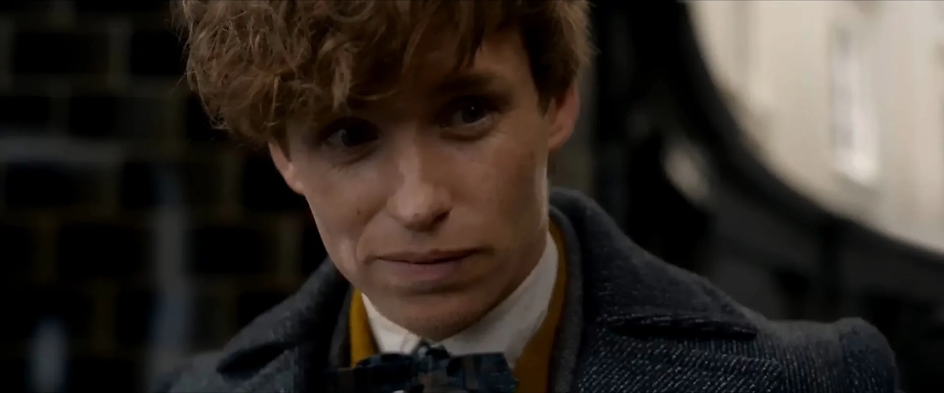 Eddie Redmayne in Fantastic Beasts: The Crimes of Grindelwald (2018)