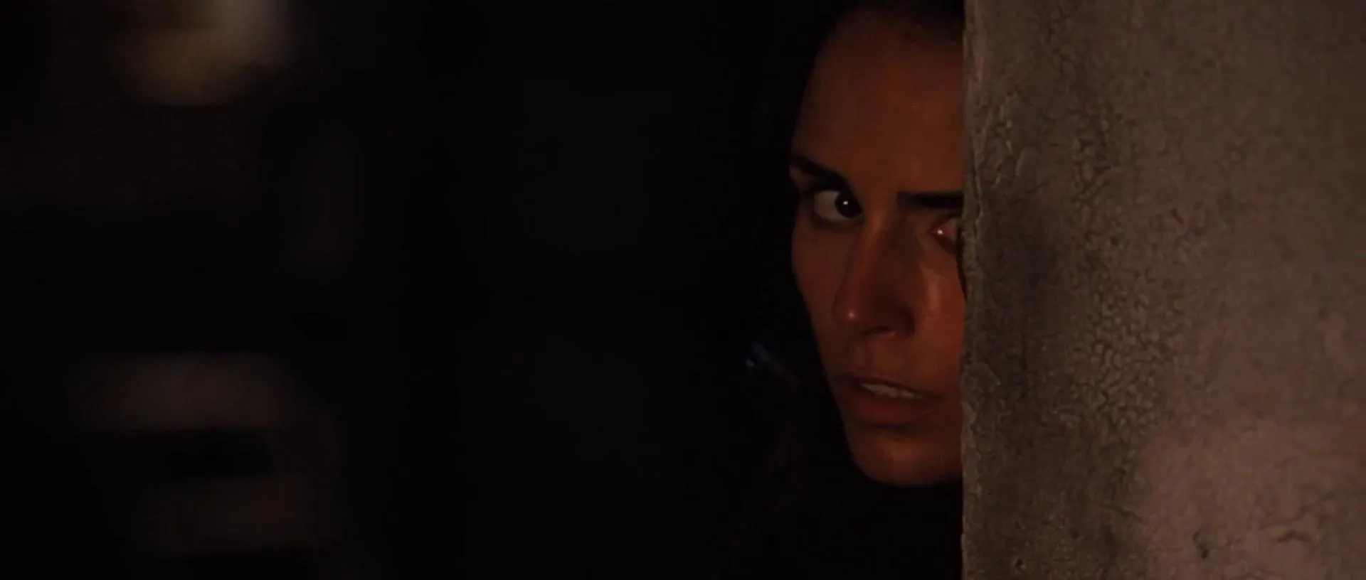 Jordana Brewster in Fast Five (2011)