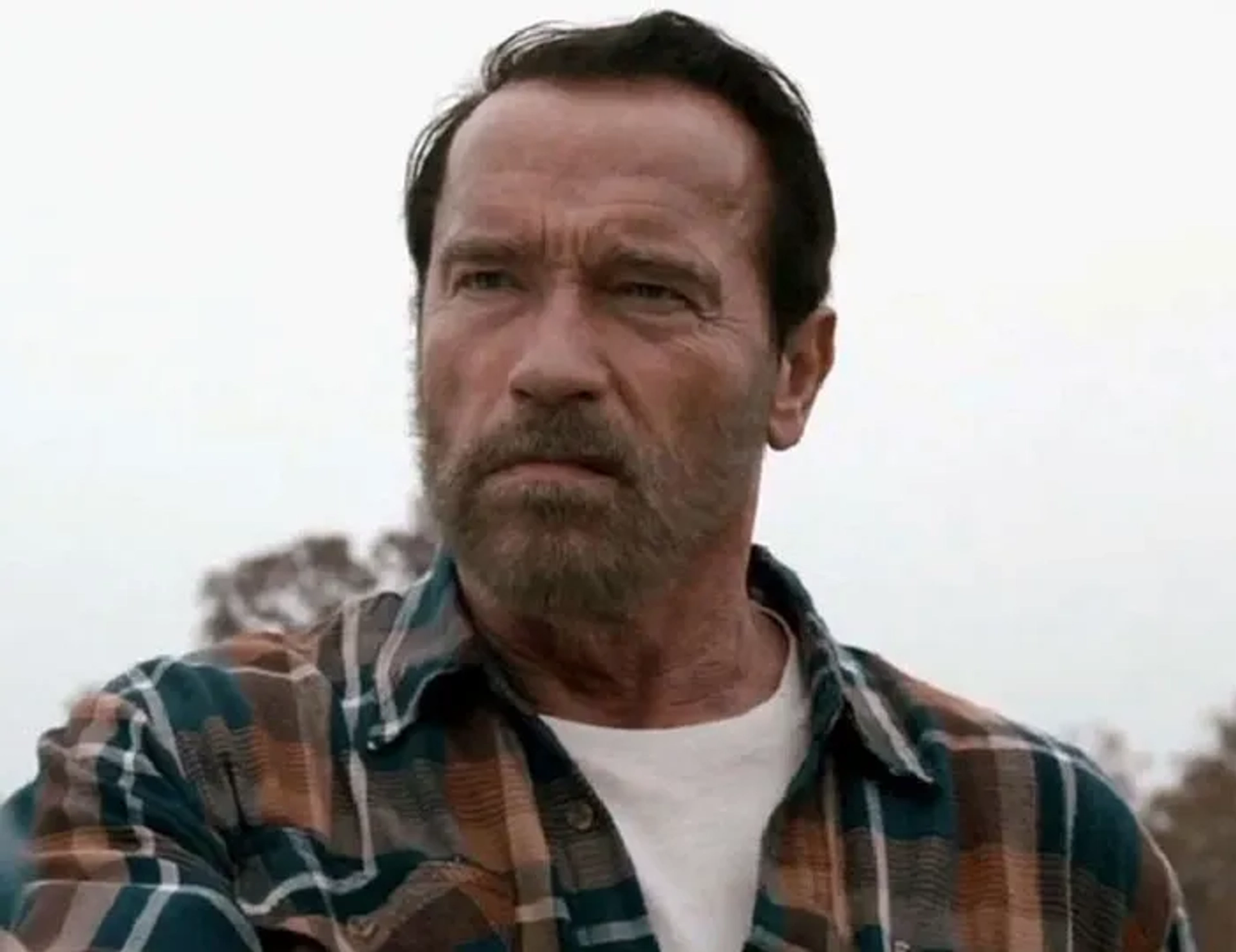 Arnold Schwarzenegger in Maggie (2015)