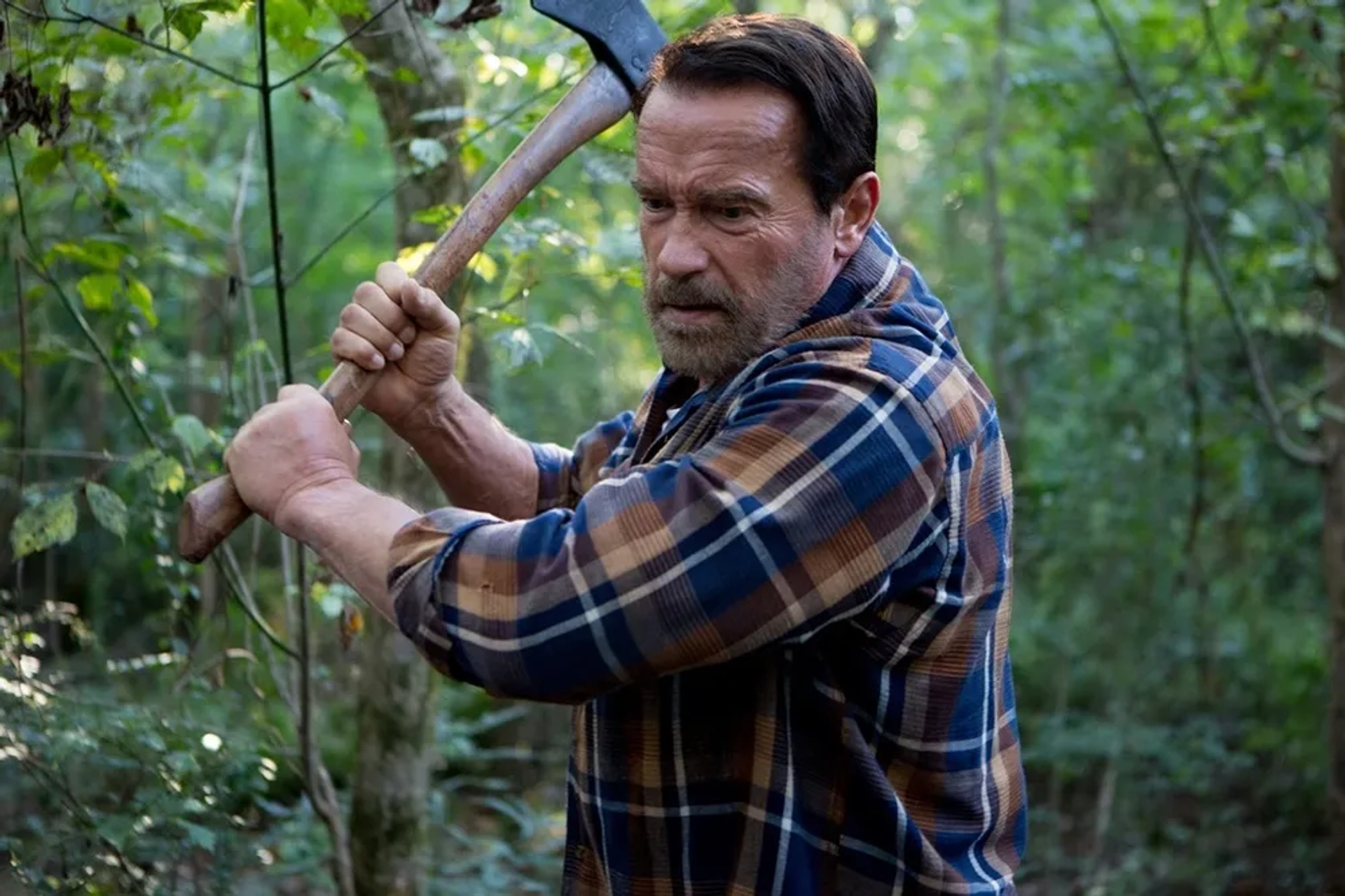 Arnold Schwarzenegger in Maggie (2015)