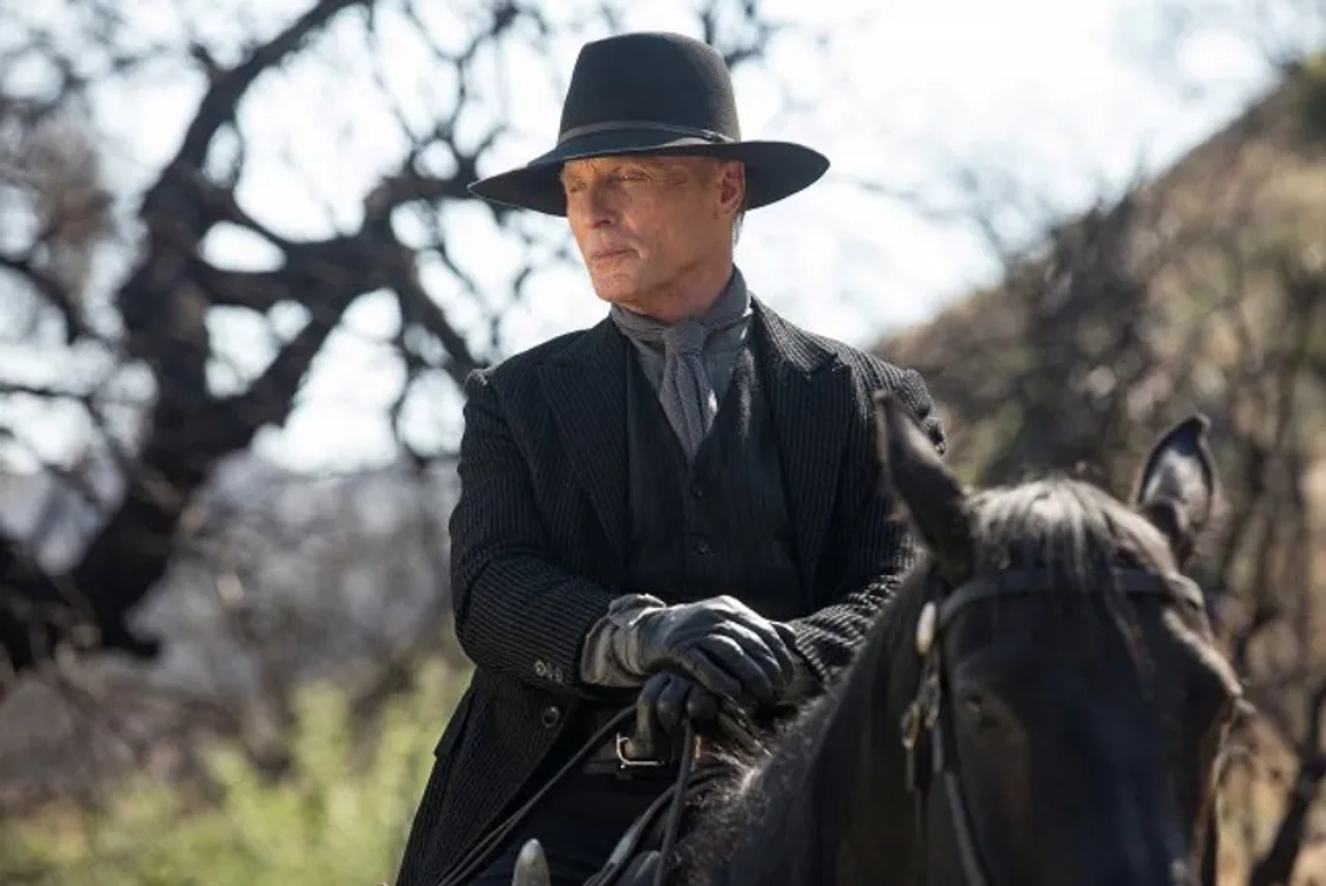 Ed Harris in Westworld (2016)