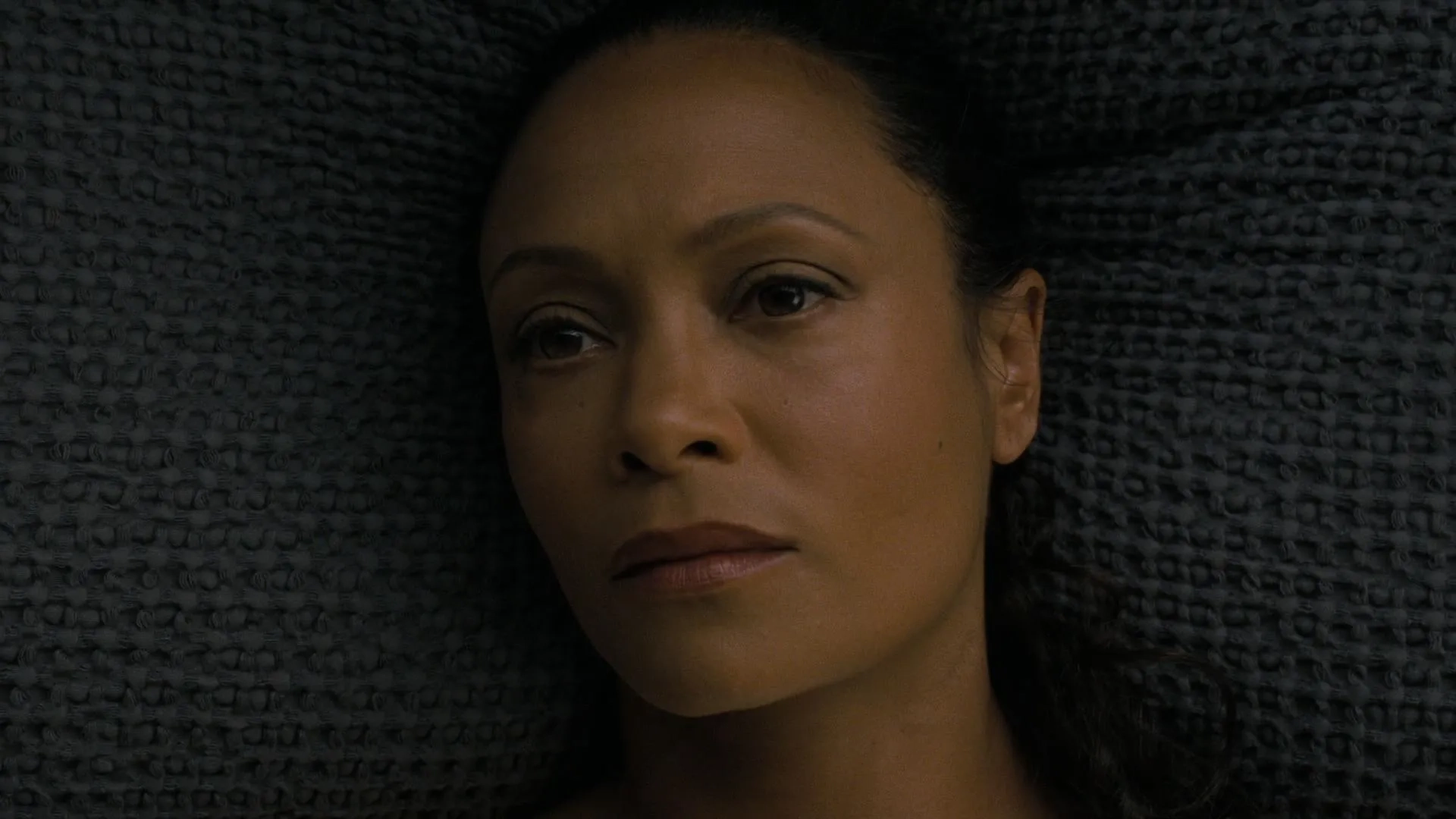 Thandiwe Newton in Westworld (2016)